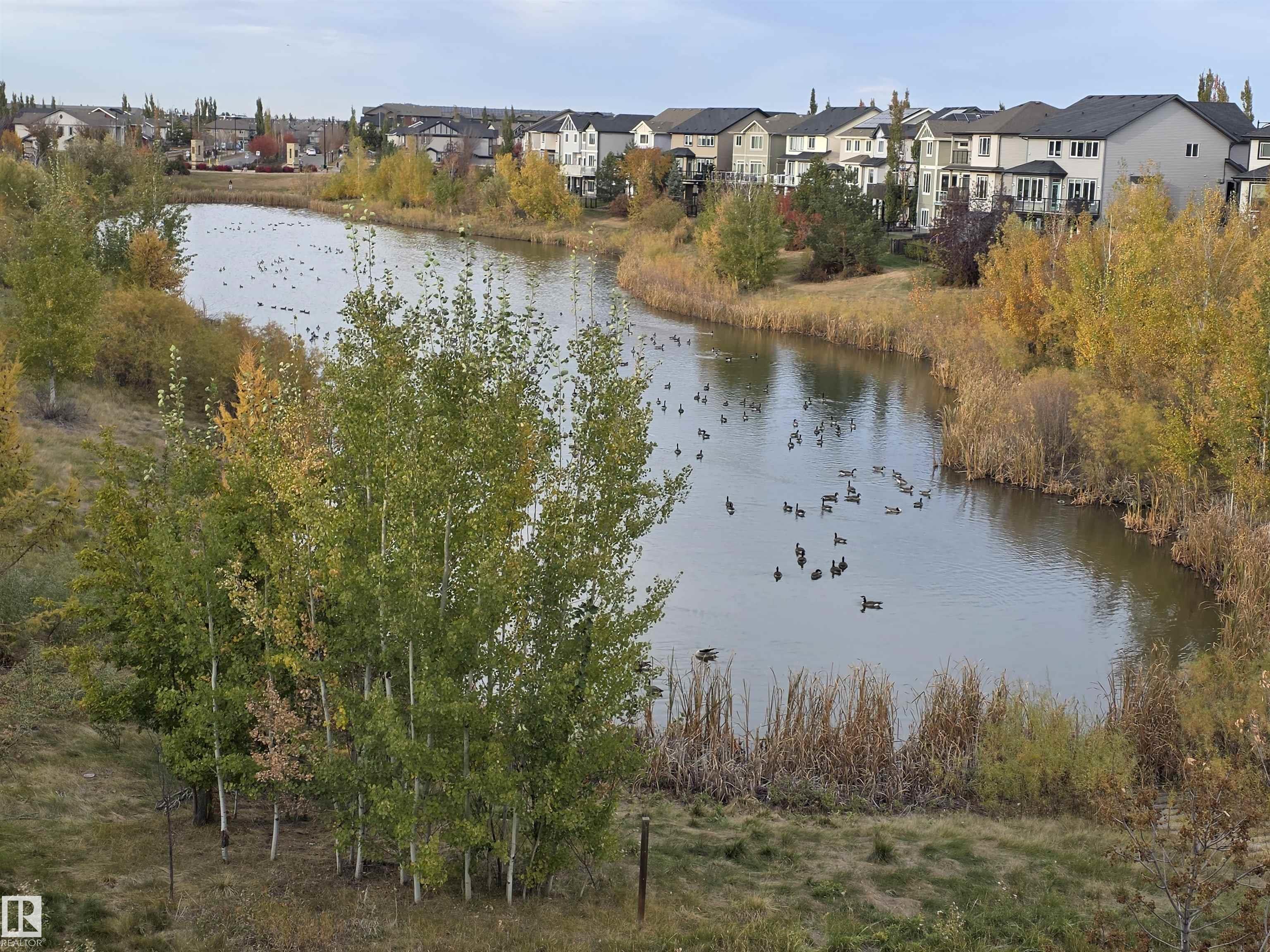 Photo 63 at 5614 Allbright Bay SW, Allard, Edmonton