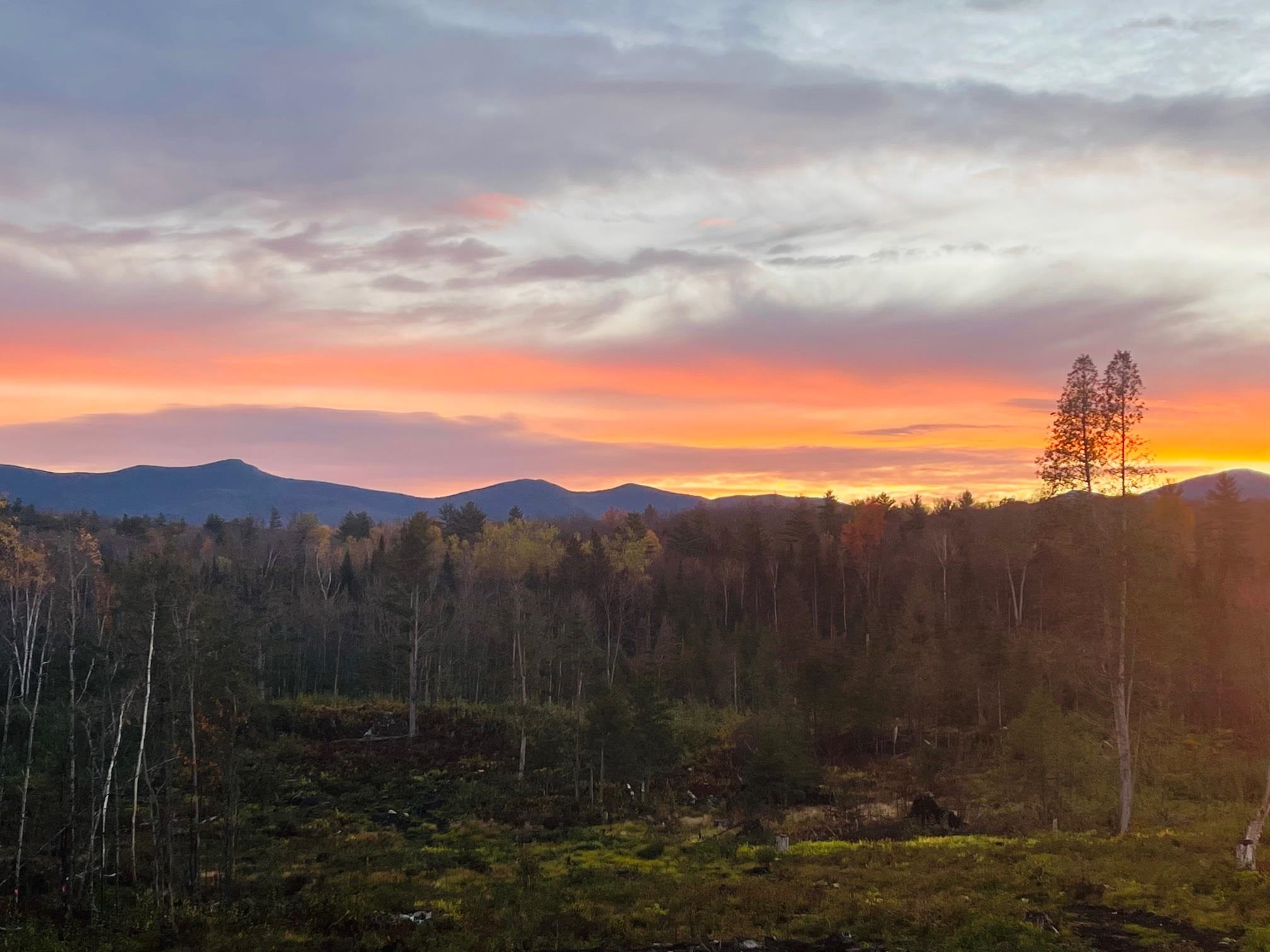 Lot 5 Kelsea Ave, Lancaster, NH 03584