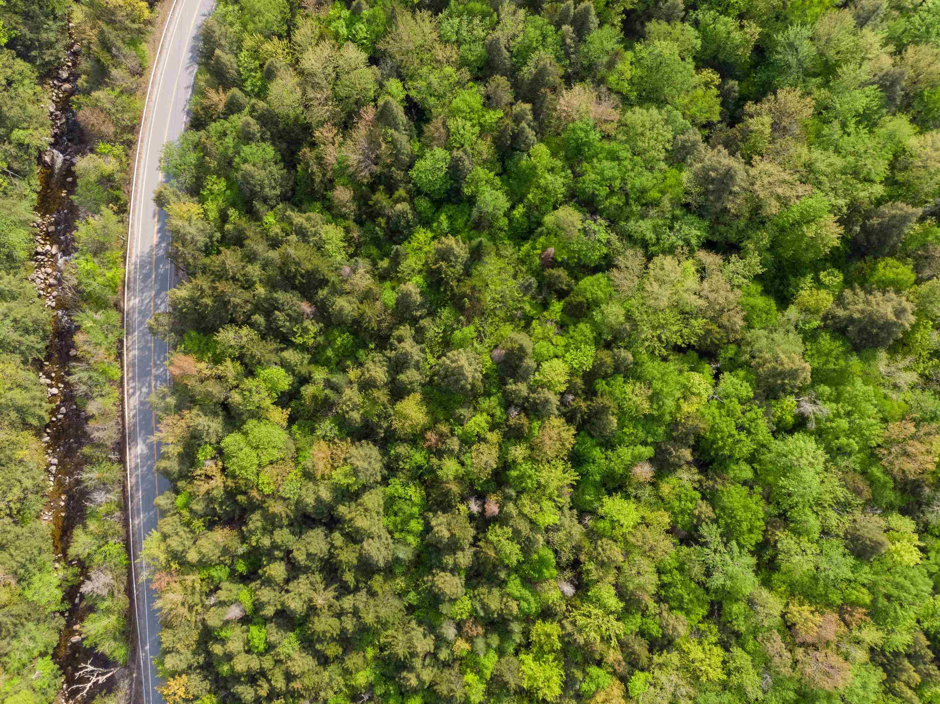 206-011 Lost River Rd, Woodstock, NH 03262