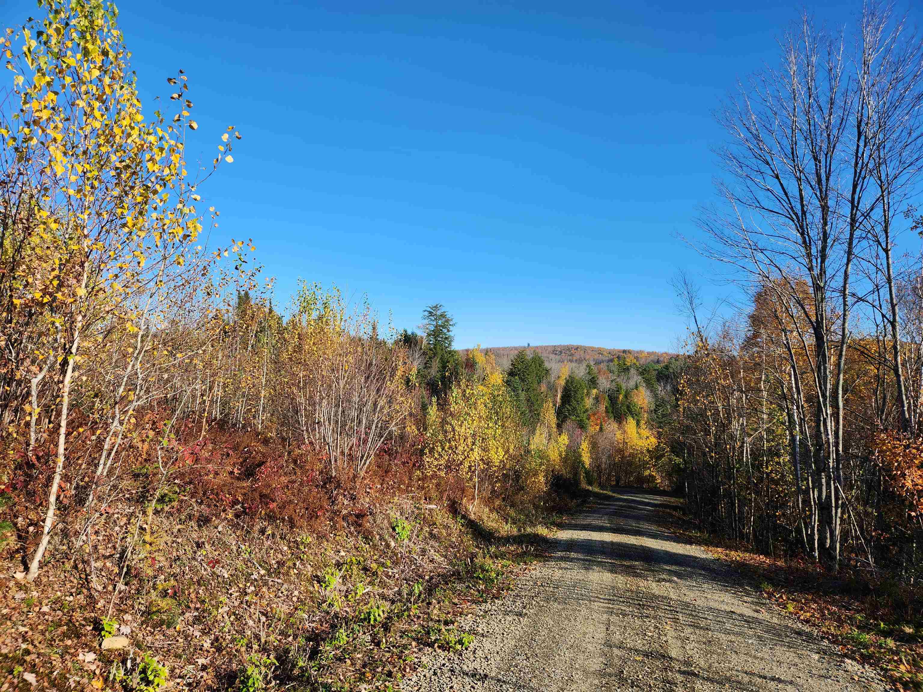 0 Town Line Rd, Stratford, NH 03590