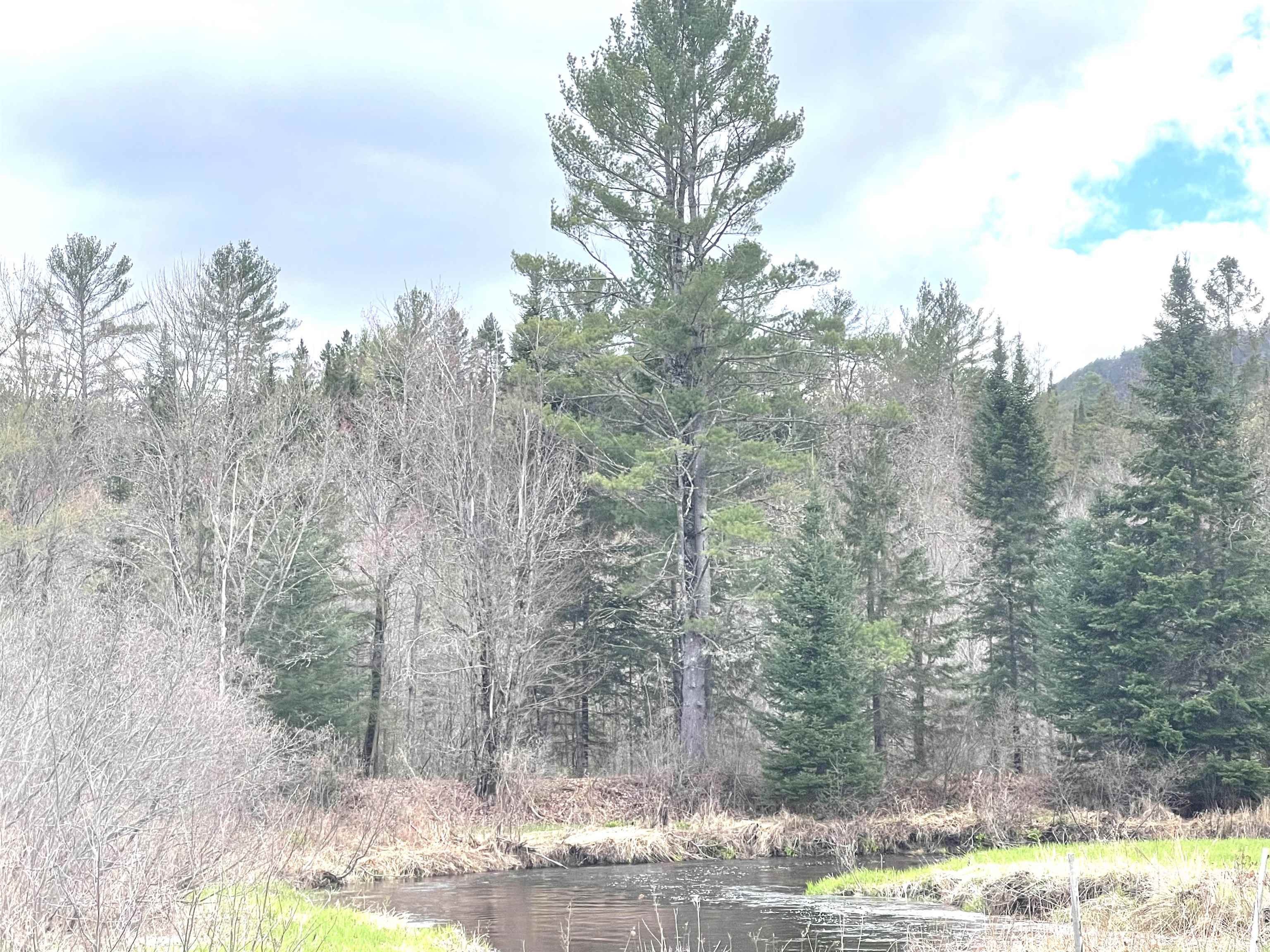 White Rd, Dalton, NH 03598