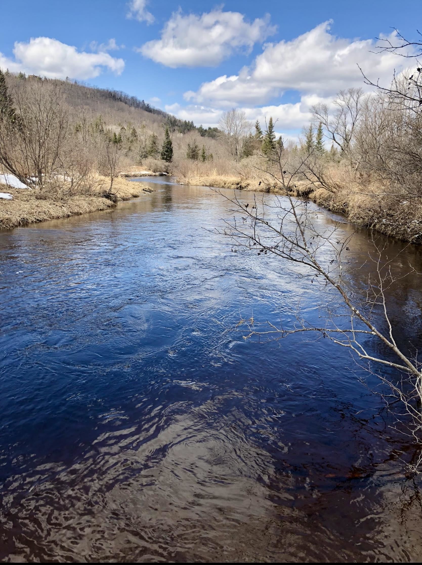 White Rd, Dalton, NH 03598