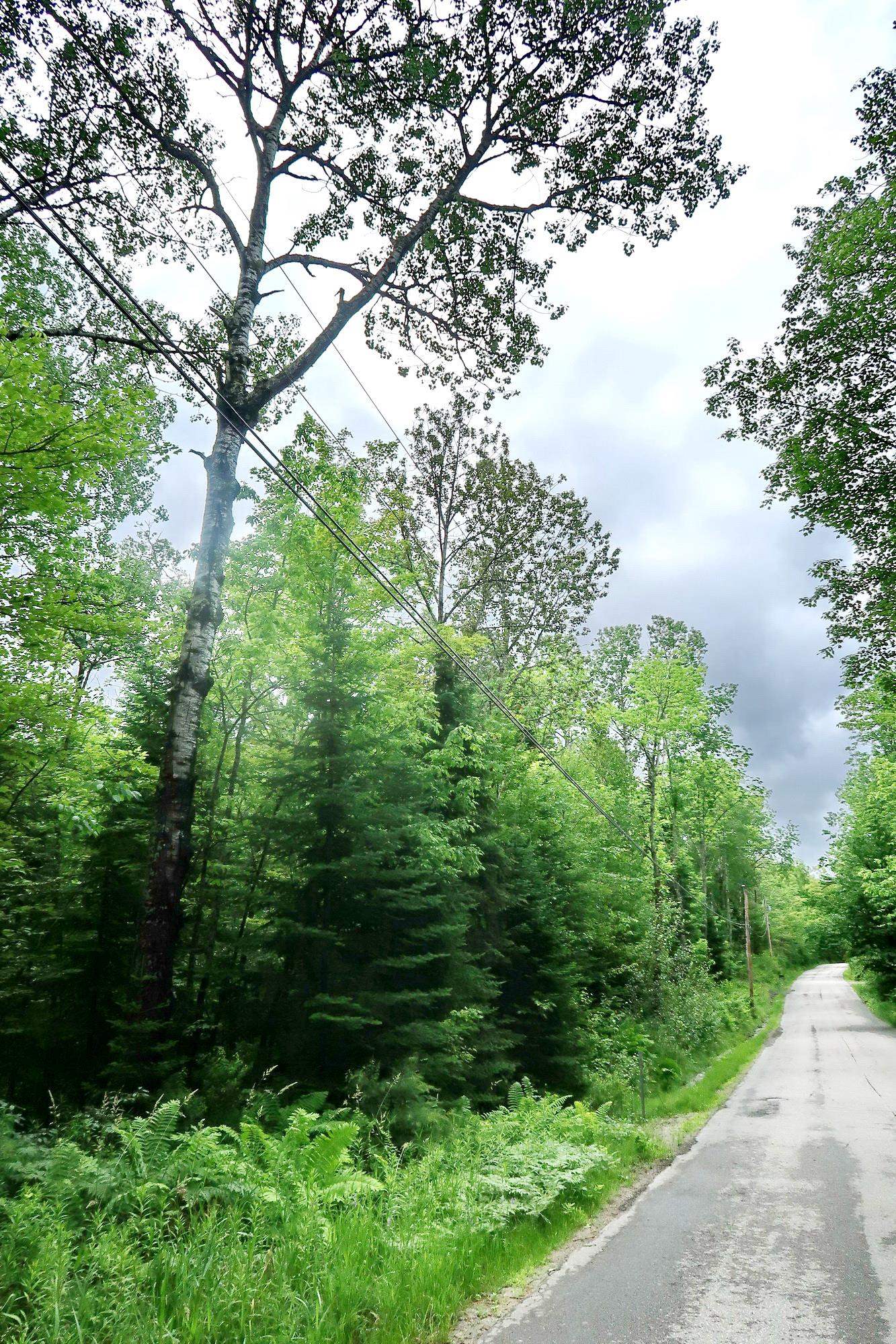 TBD Easton Rd, Sugar Hill, NH 03586
