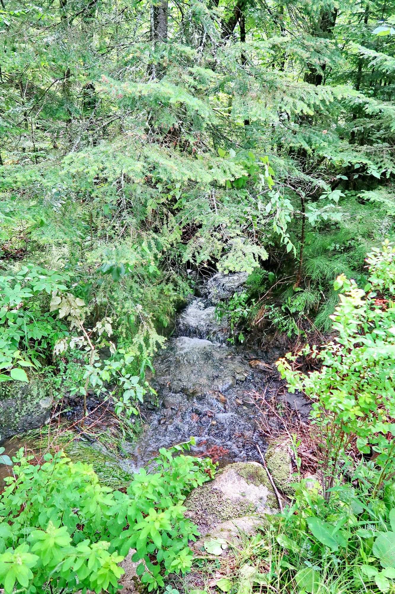 TBD Easton Rd, Sugar Hill, NH 03586