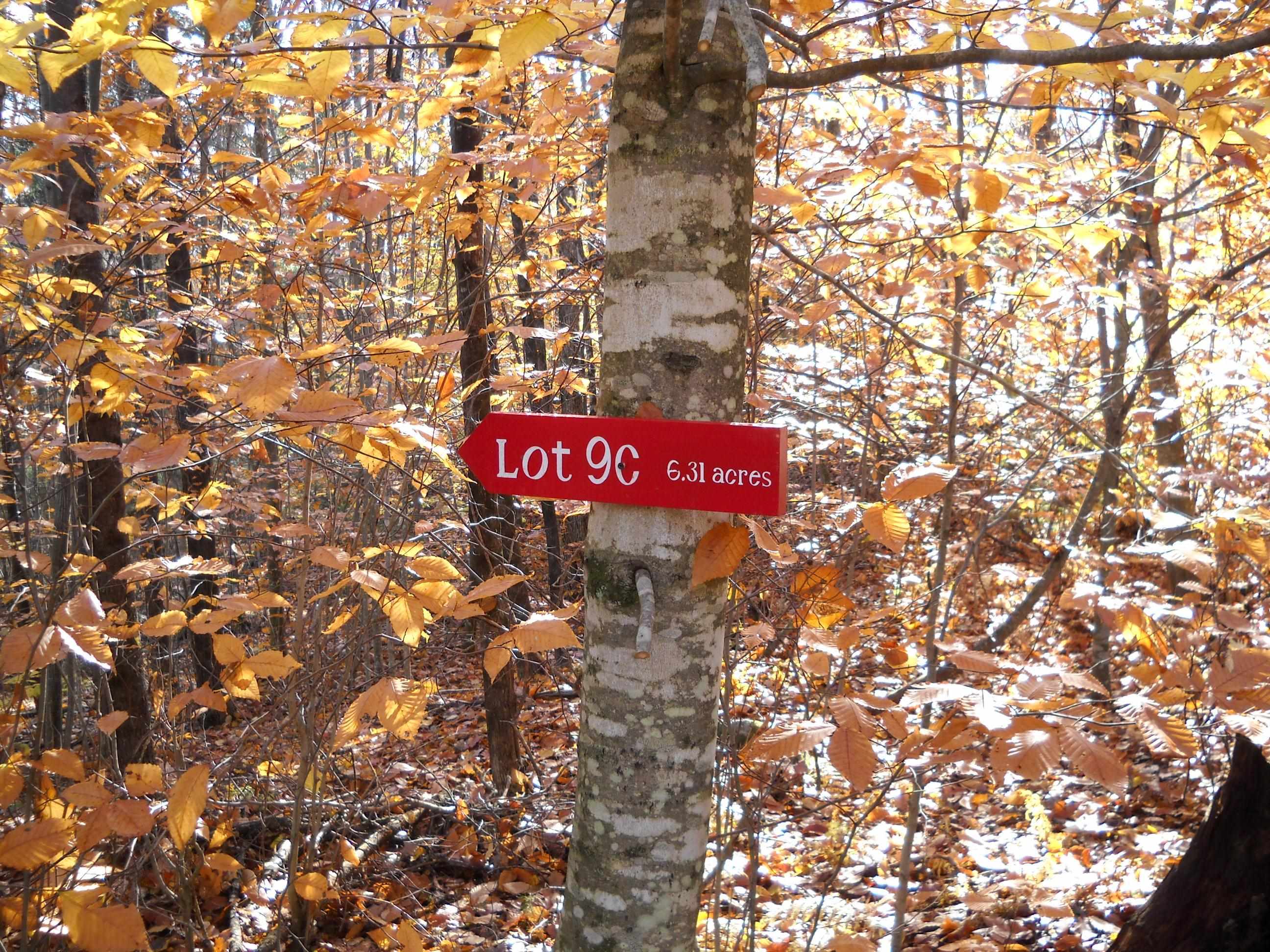 1179 Nh Route 25a, Orford, NH 03777