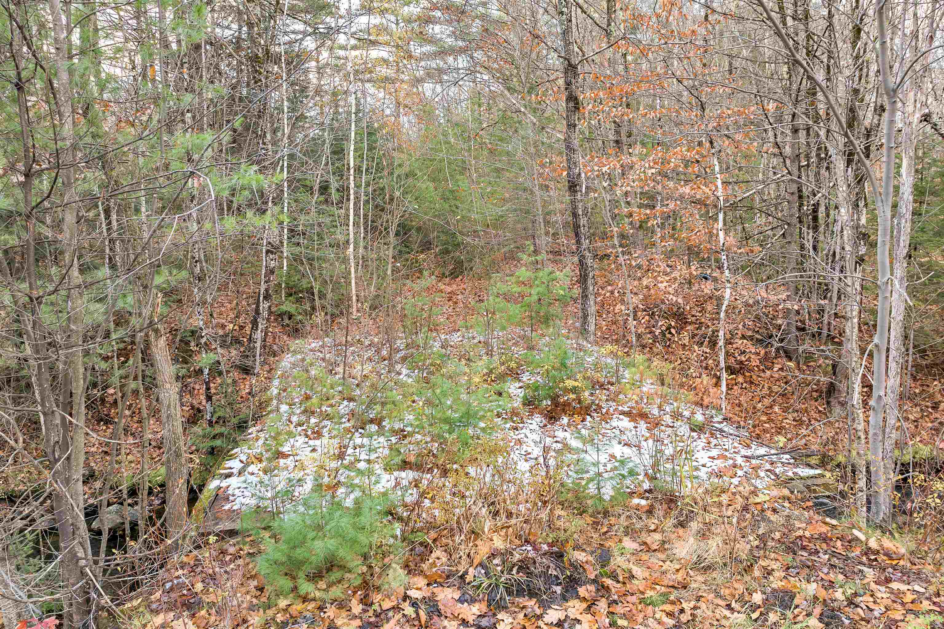 62 Whittier Hw, Sandwich, NH 03227