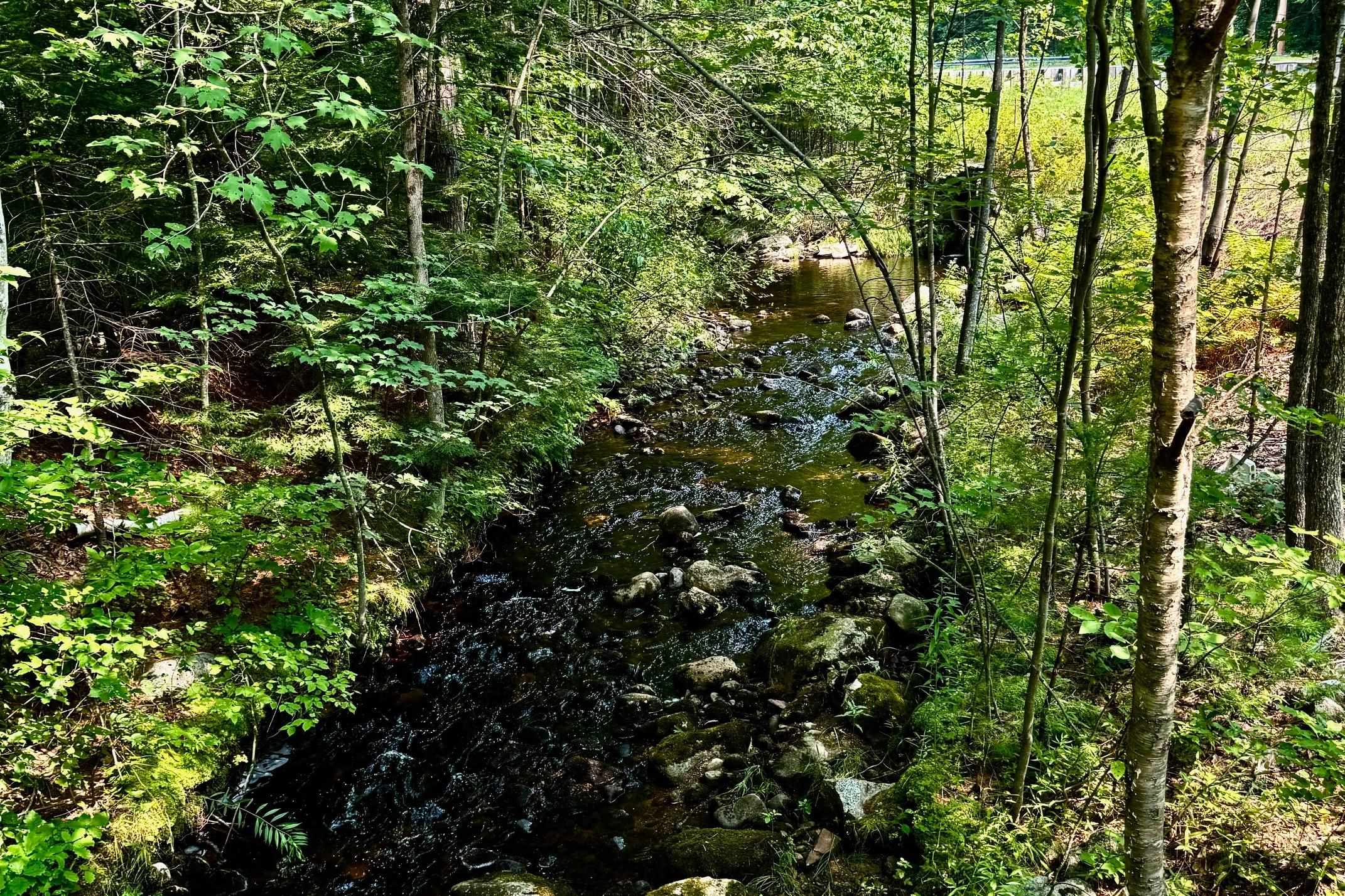 62 Whittier Highway — photo 3