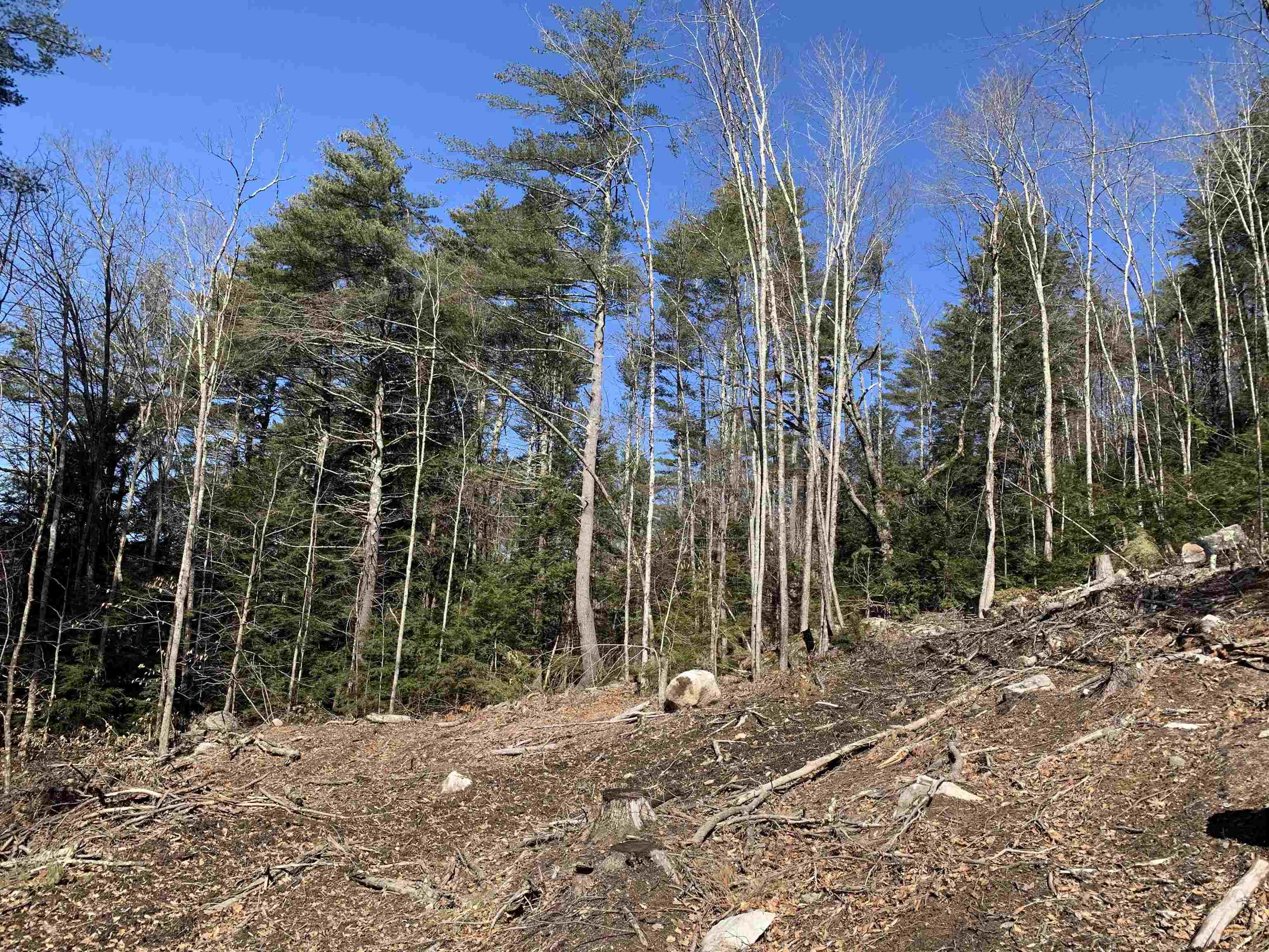 Map3 Lot9 Scotland Rd, Winchester, NH 03470