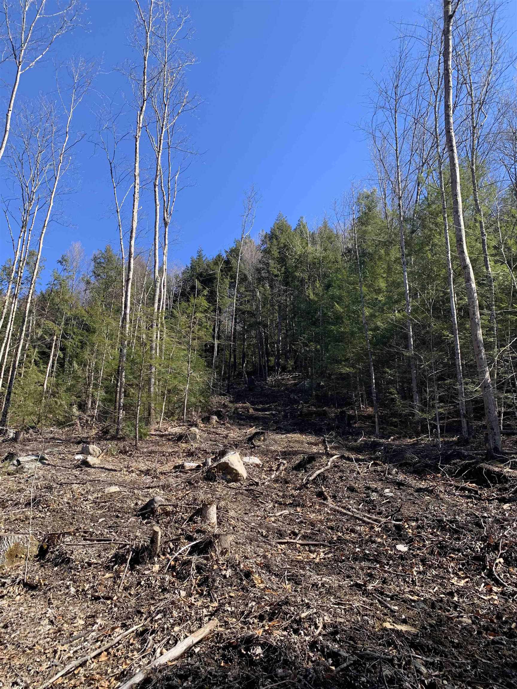 Map3 Lot9 Scotland Rd, Winchester, NH 03470