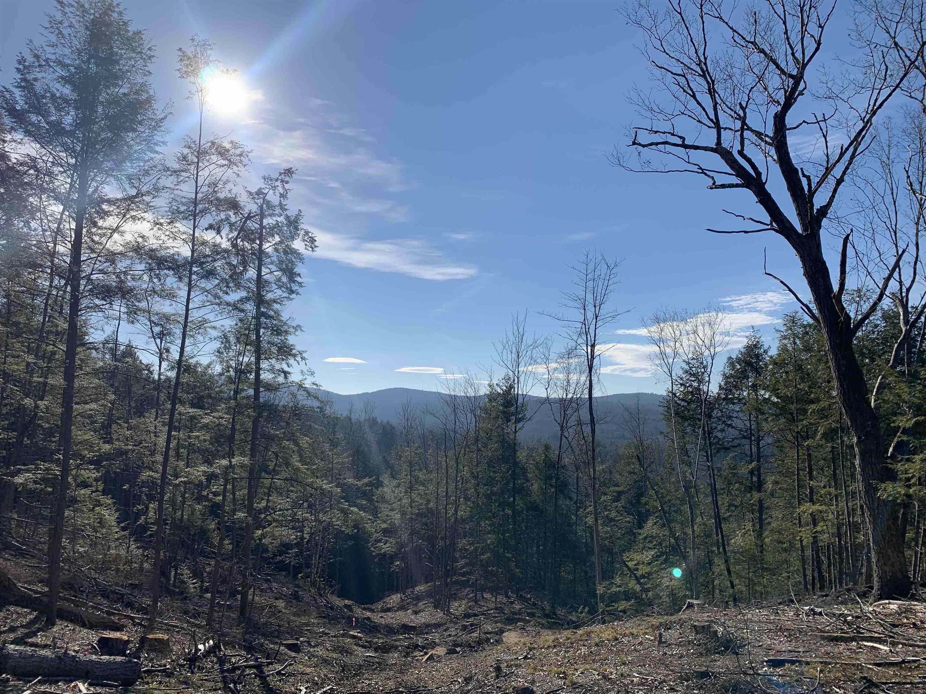 Winchester NH&nbsp;Land for sale $$159,000 | 33.35 Acres  | Price Per Acre $0 