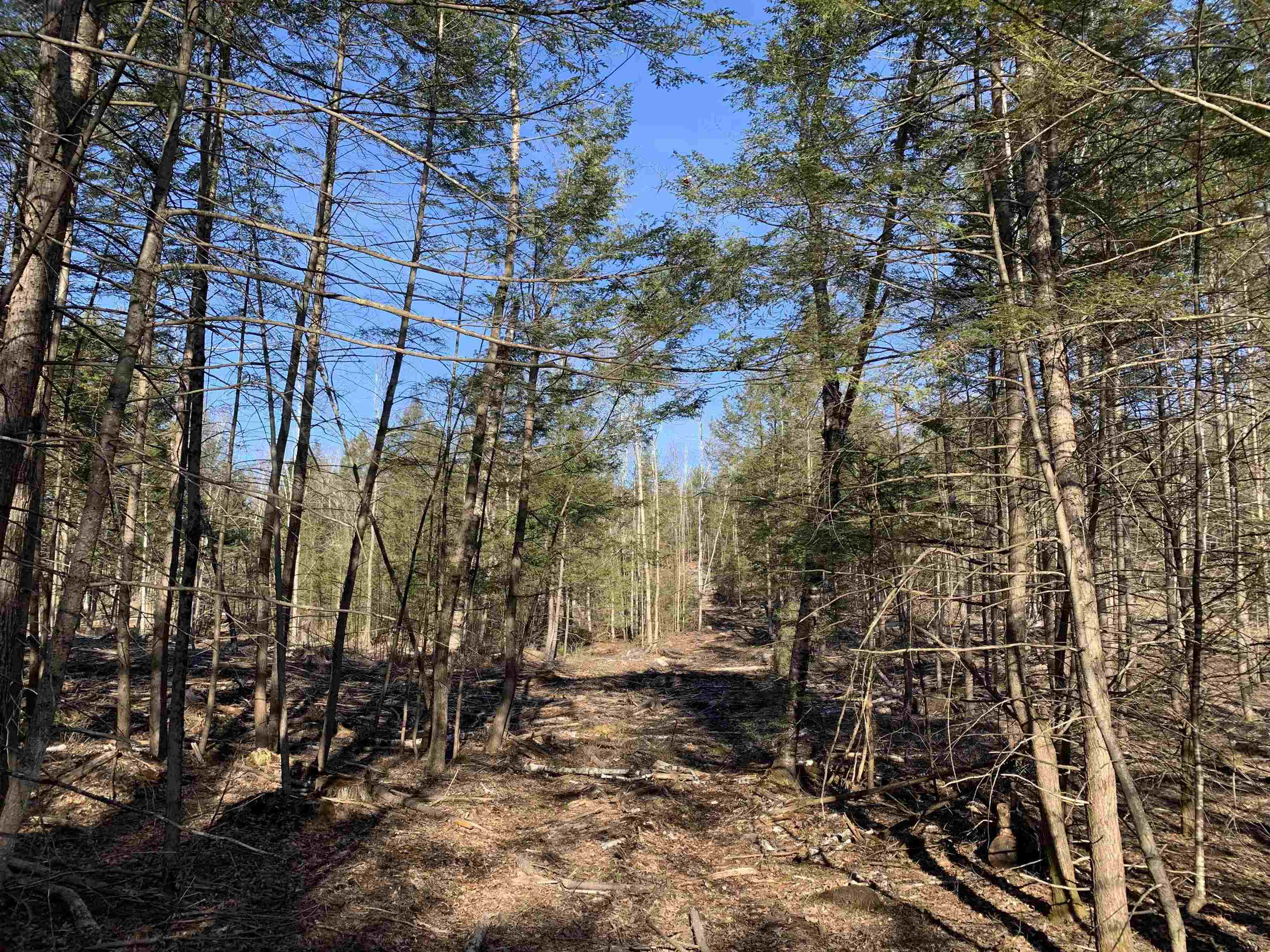 Map3 Lot9-3 Scotland Rd, Winchester, NH 03470