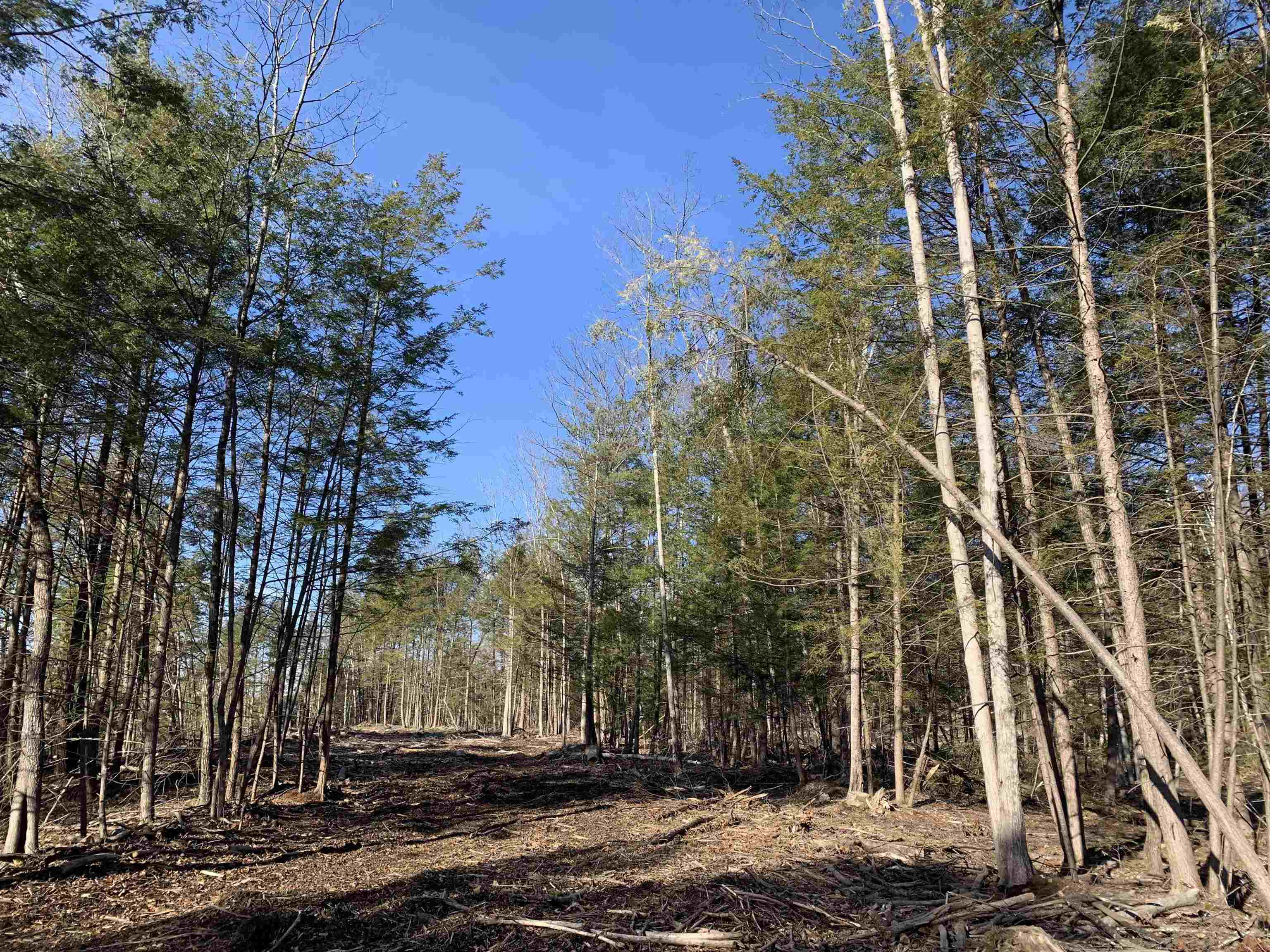 Map3 Lot9-3 Scotland Rd, Winchester, NH 03470