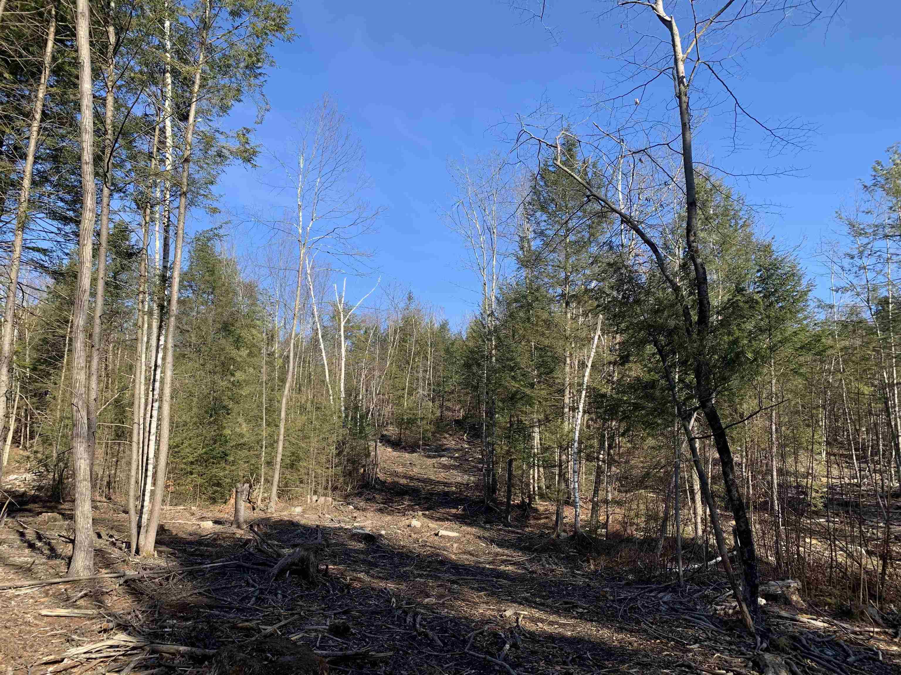 Map3 Lot9-3 Scotland Rd, Winchester, NH 03470