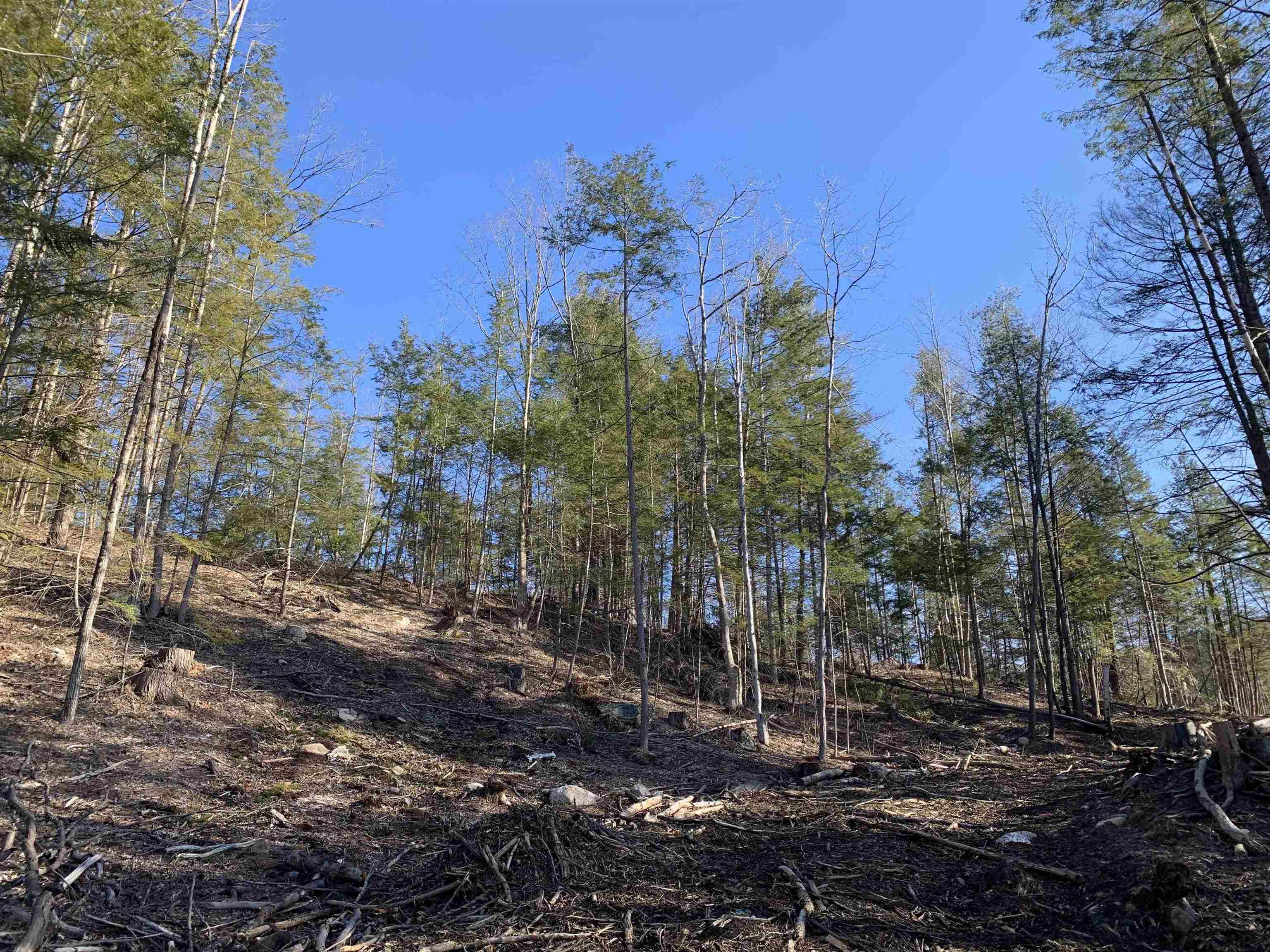 Map3 Lot9-3 Scotland Rd, Winchester, NH 03470