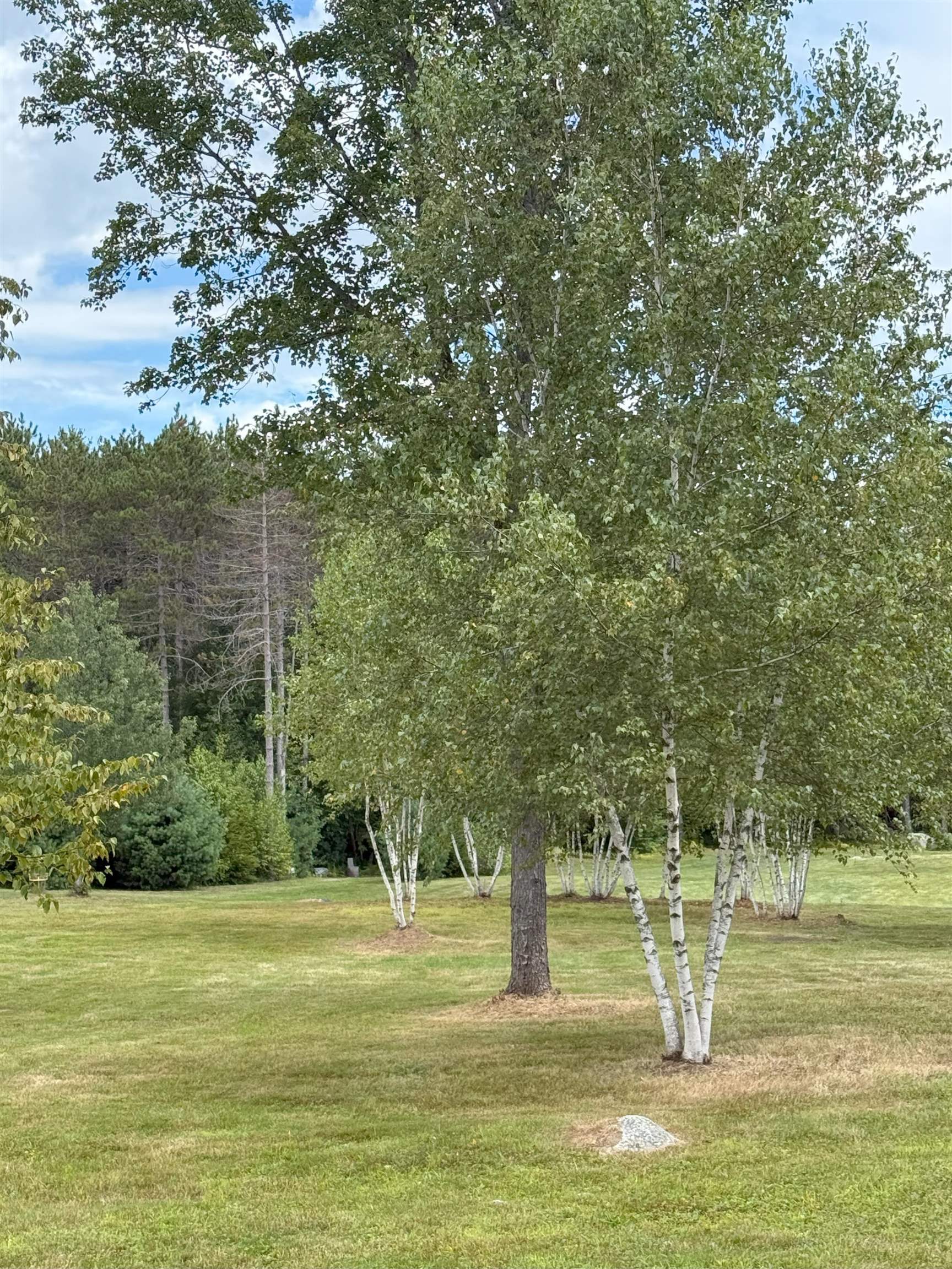 0 Warner Rd, Warner, NH 03278