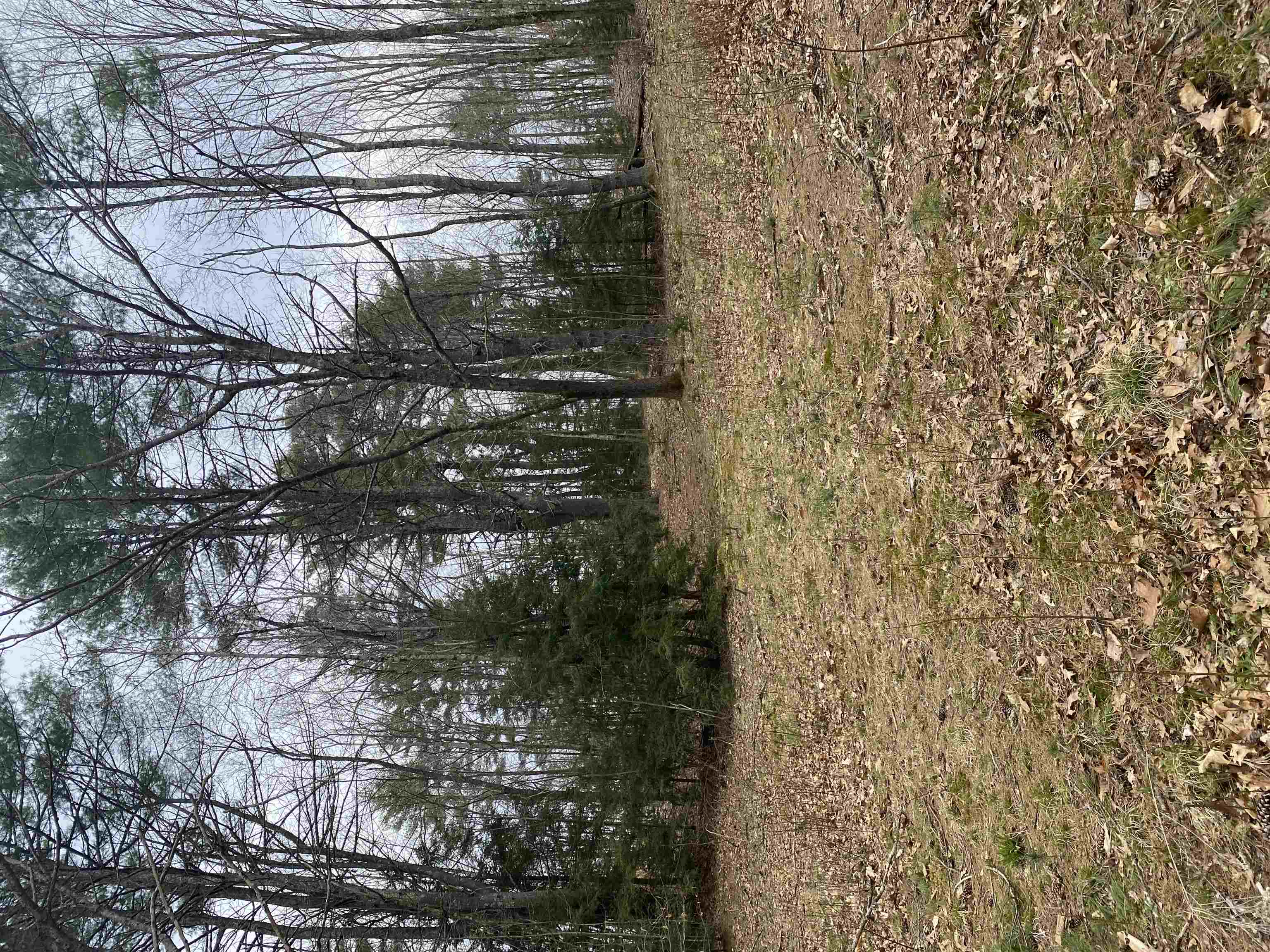Picture 20