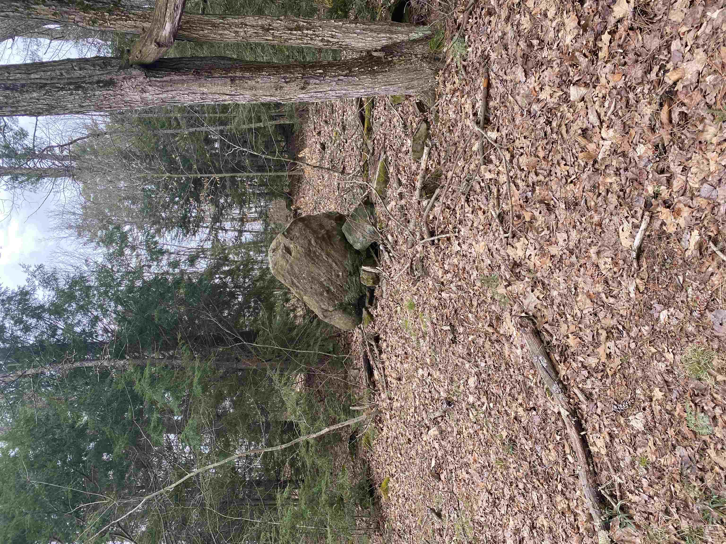 Picture 22
