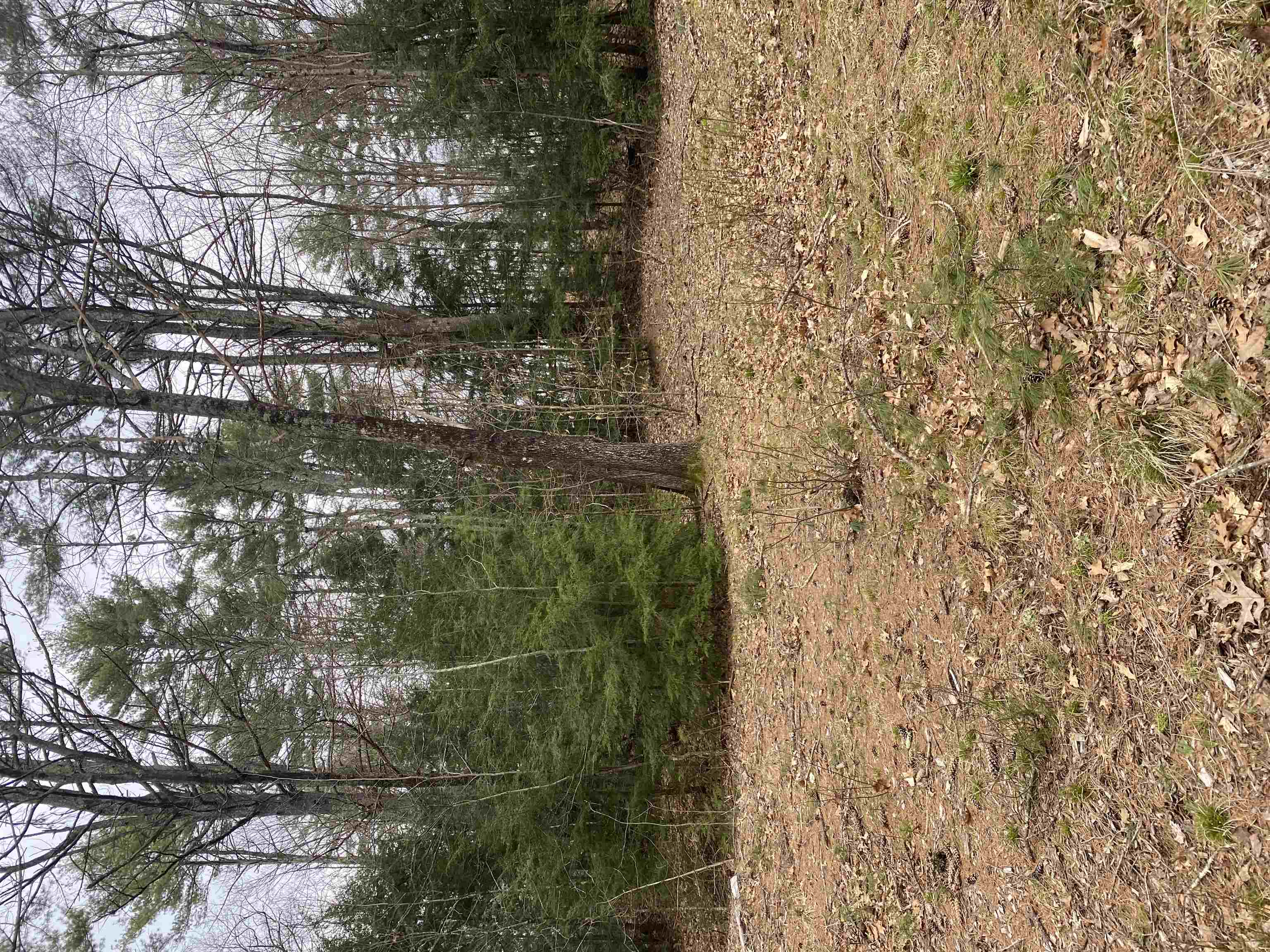 Picture 23