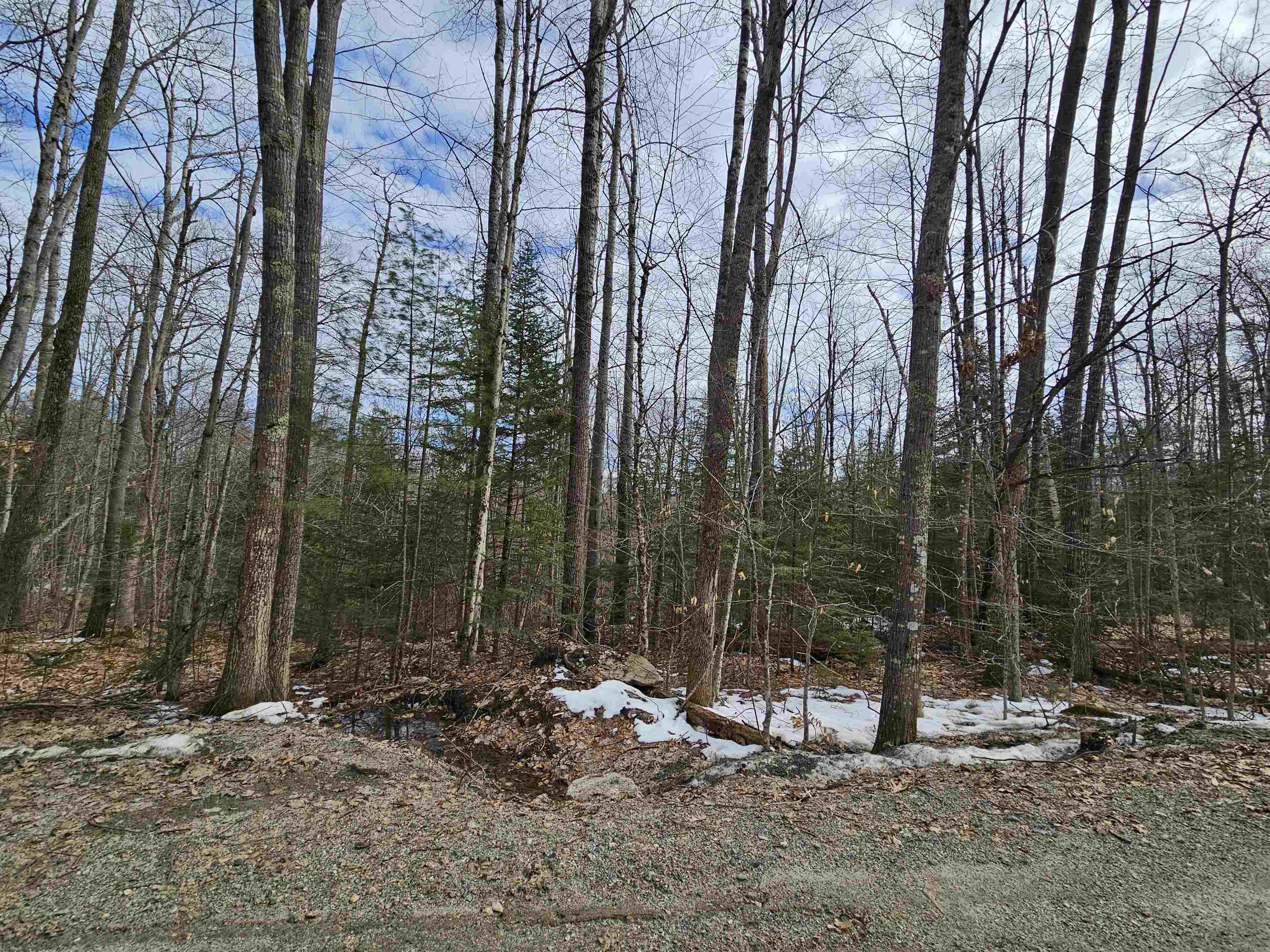 Lot 90 Faraway Rd, Dalton, NH 03598