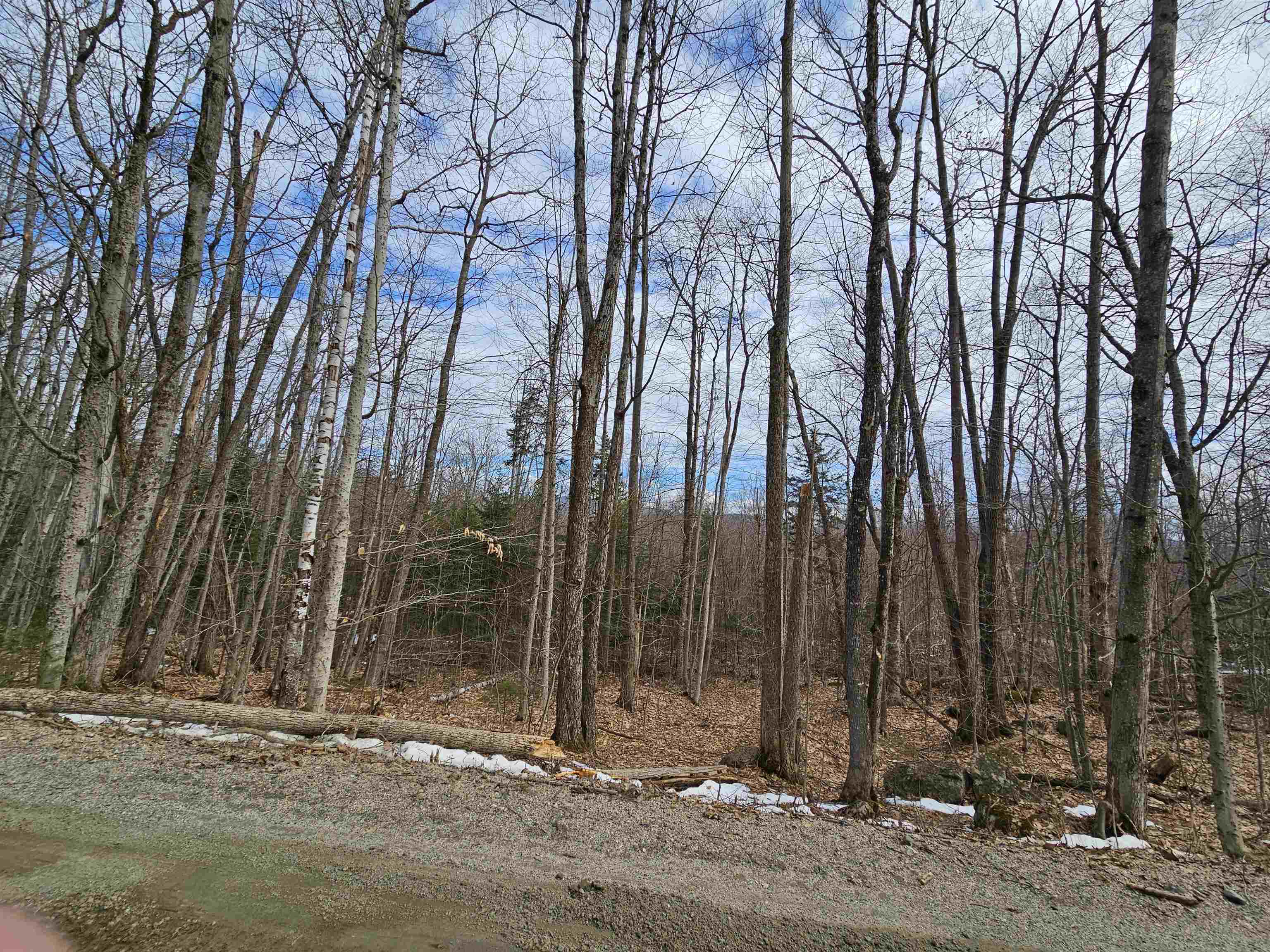 Lot 90 Faraway Rd, Dalton, NH 03598