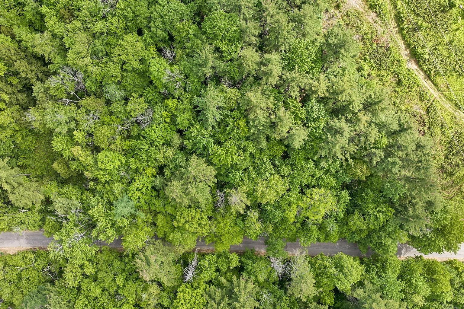 0 Murray Hill Rd, Hill, NH 03243