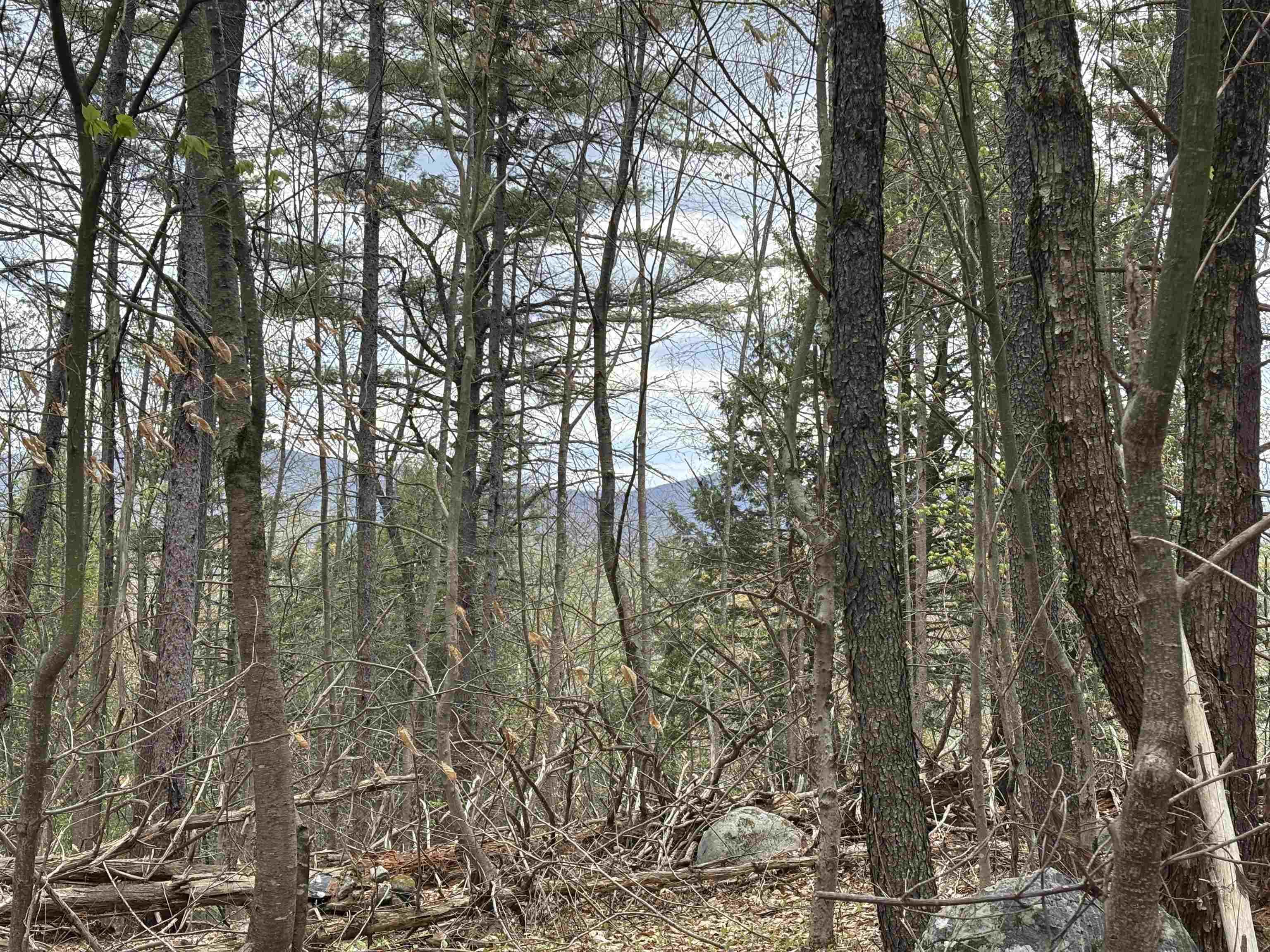 Chester VT&nbsp;Land for sale $$89,000 | 10.4 Acres  | Price Per Acre $0  | Total Lots 26