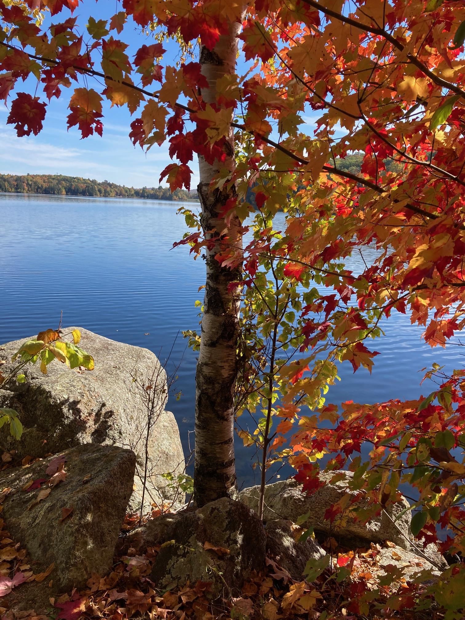 27 Spring Valley Dr, Grantham, NH 03753