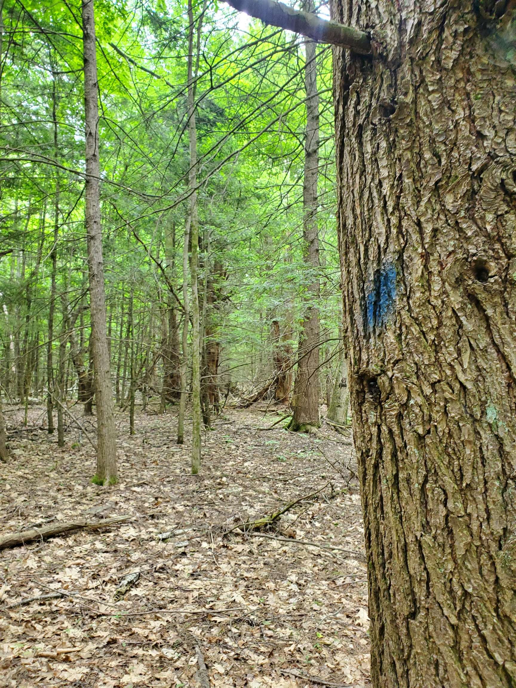 00 Monadnock Hw, Swanzey, NH 03446