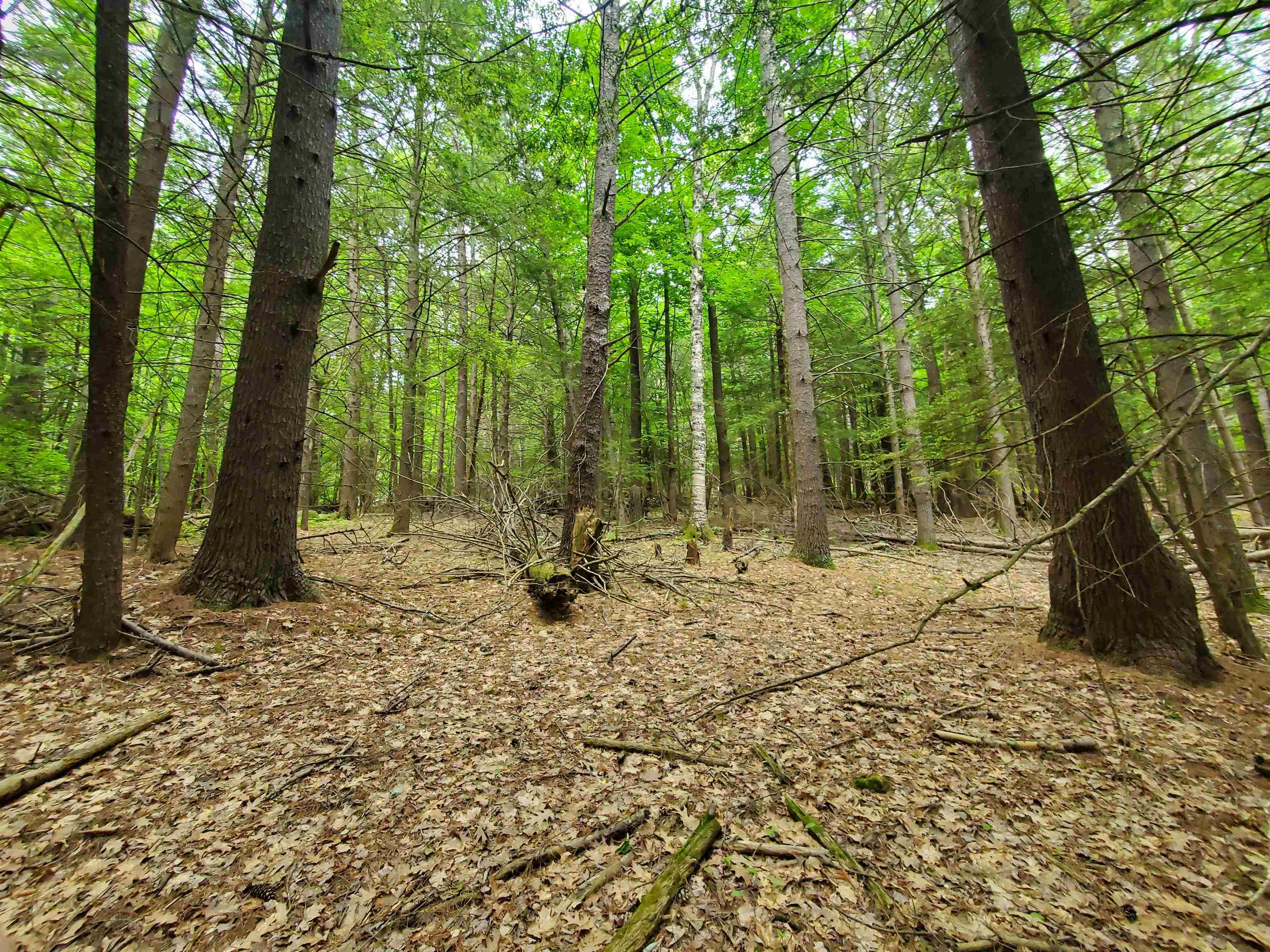 00 Monadnock Hw, Swanzey, NH 03446