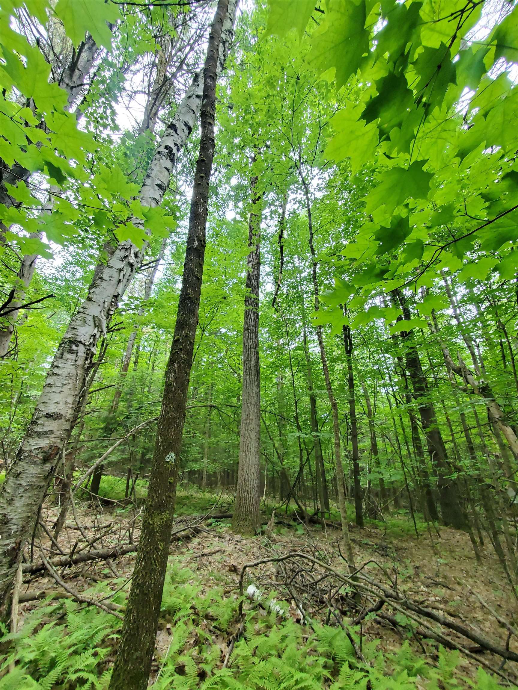 00 Monadnock Hw, Swanzey, NH 03446