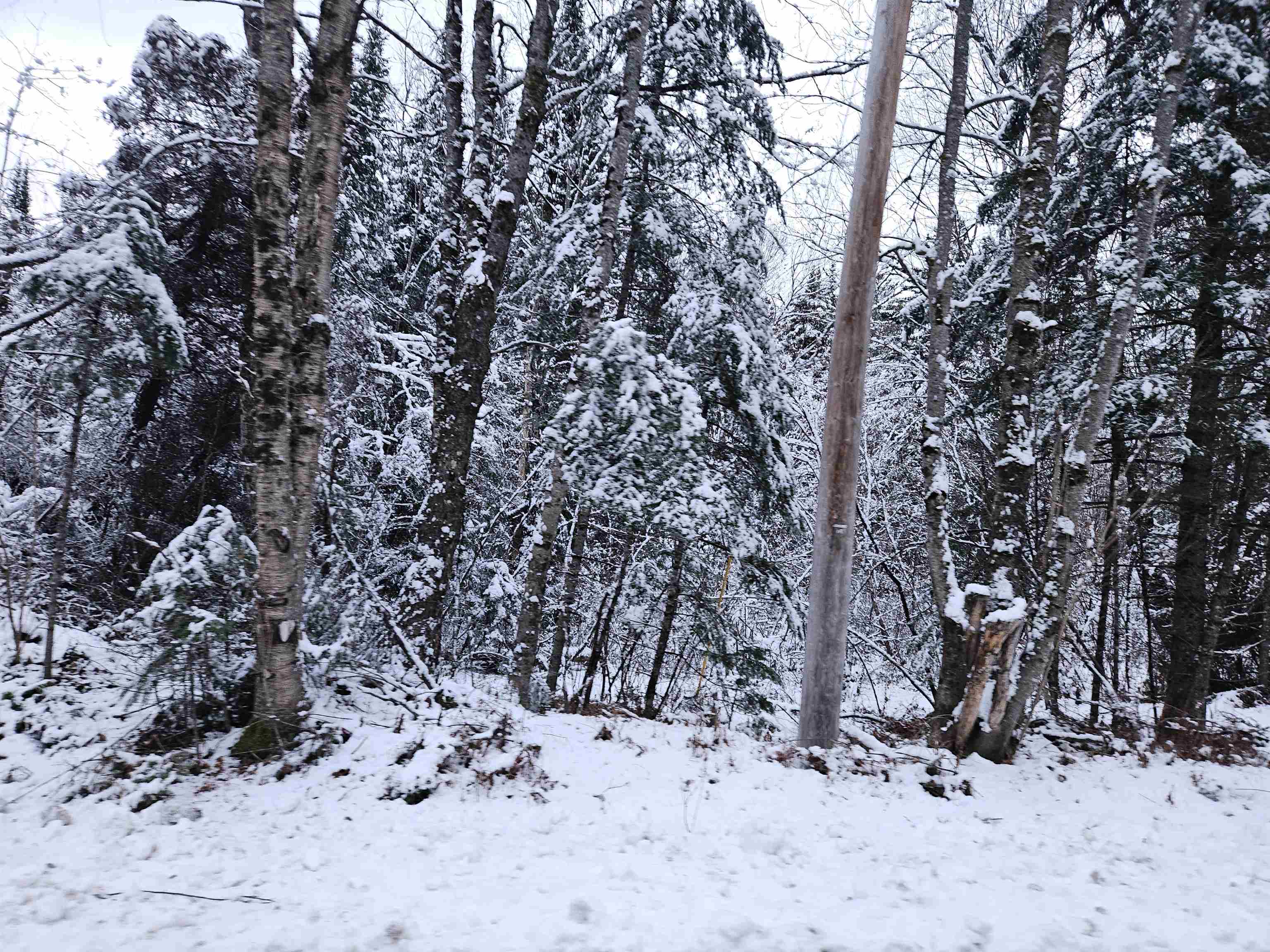 Lot 15 Hadley Rd, Sugar Hill, NH 03586