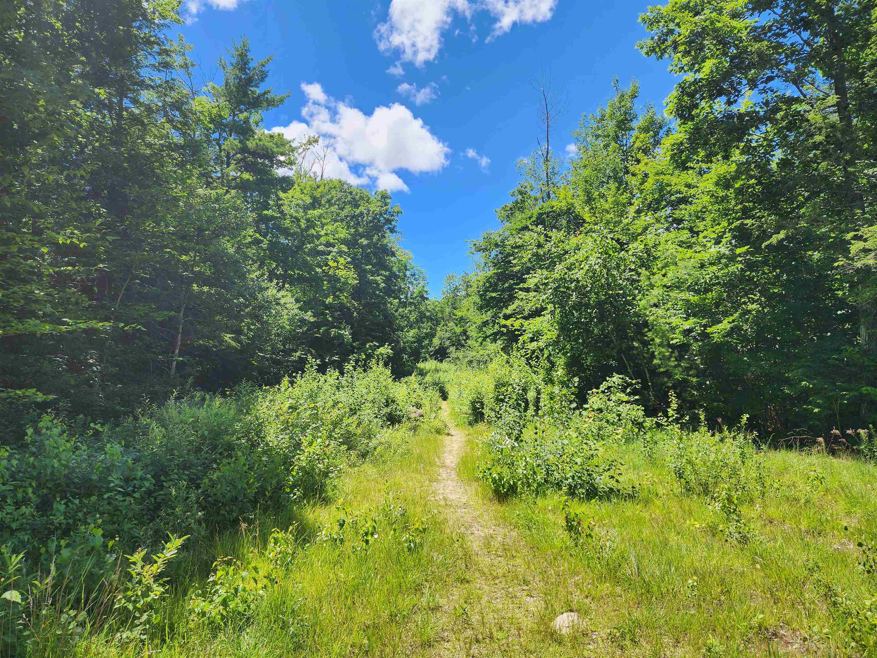 00000 Ledgewood Rd, Conway, NH 03860