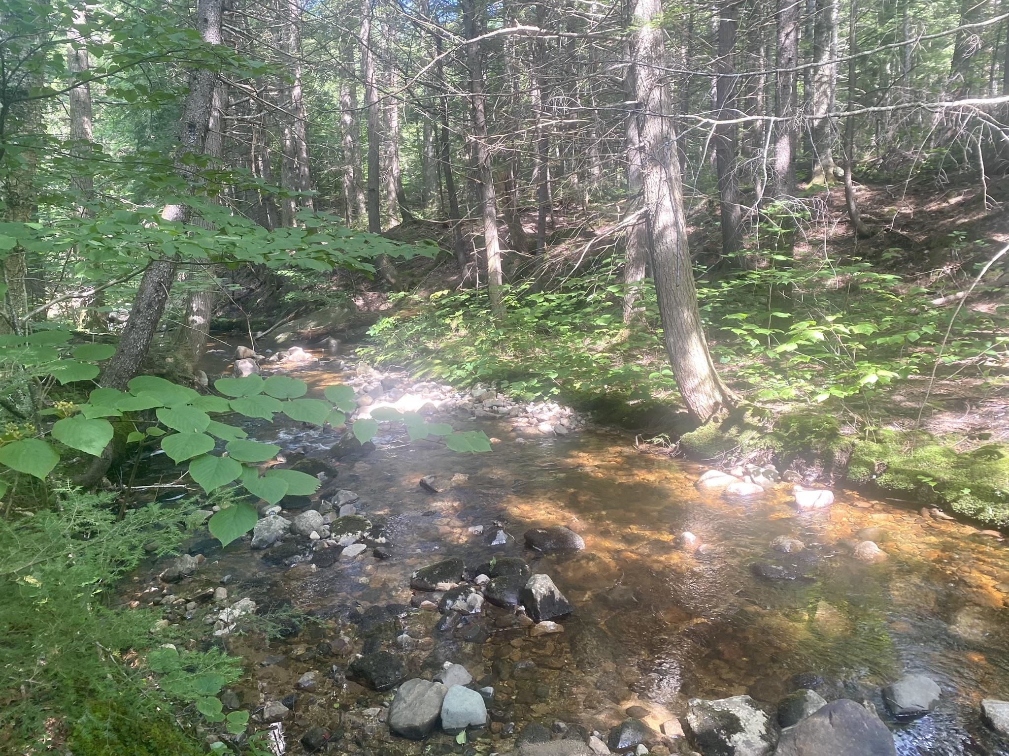 Willis Bean Road, Eaton, NH photo 2