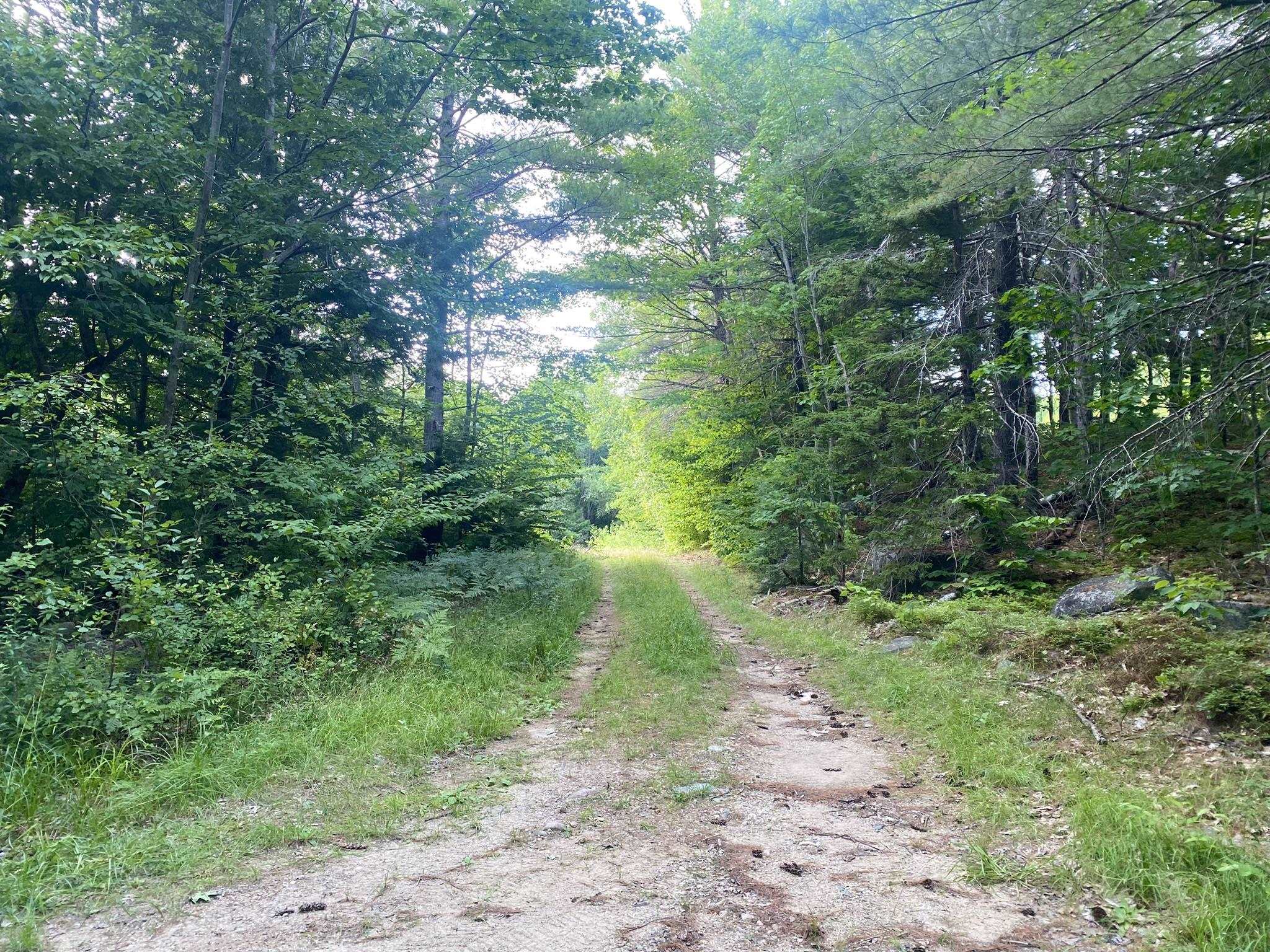 Willis Bean Road, Eaton, NH photo 3