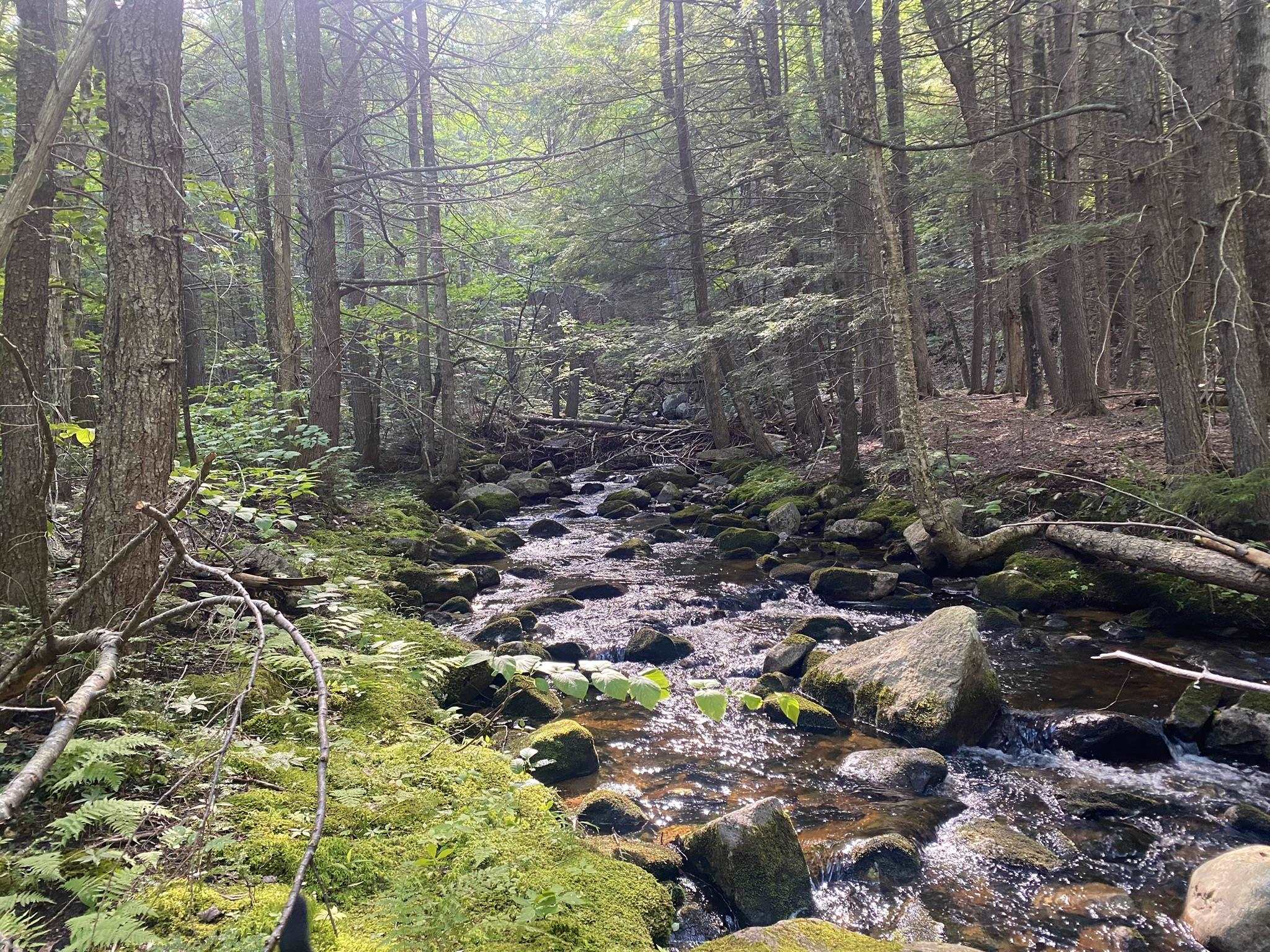Willis Bean Road, Eaton, NH photo 4