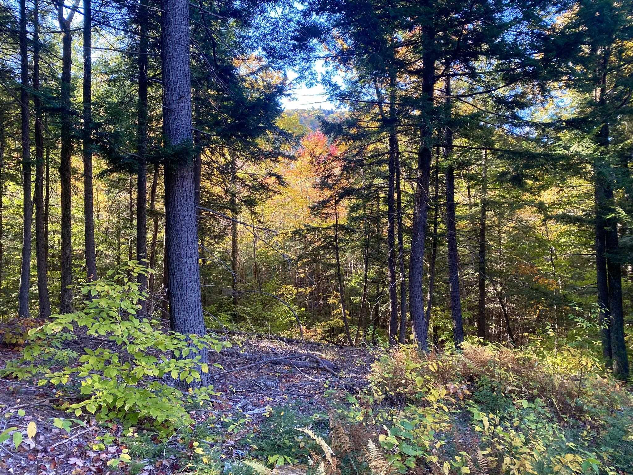 Willis Bean Road, Eaton, NH photo 5