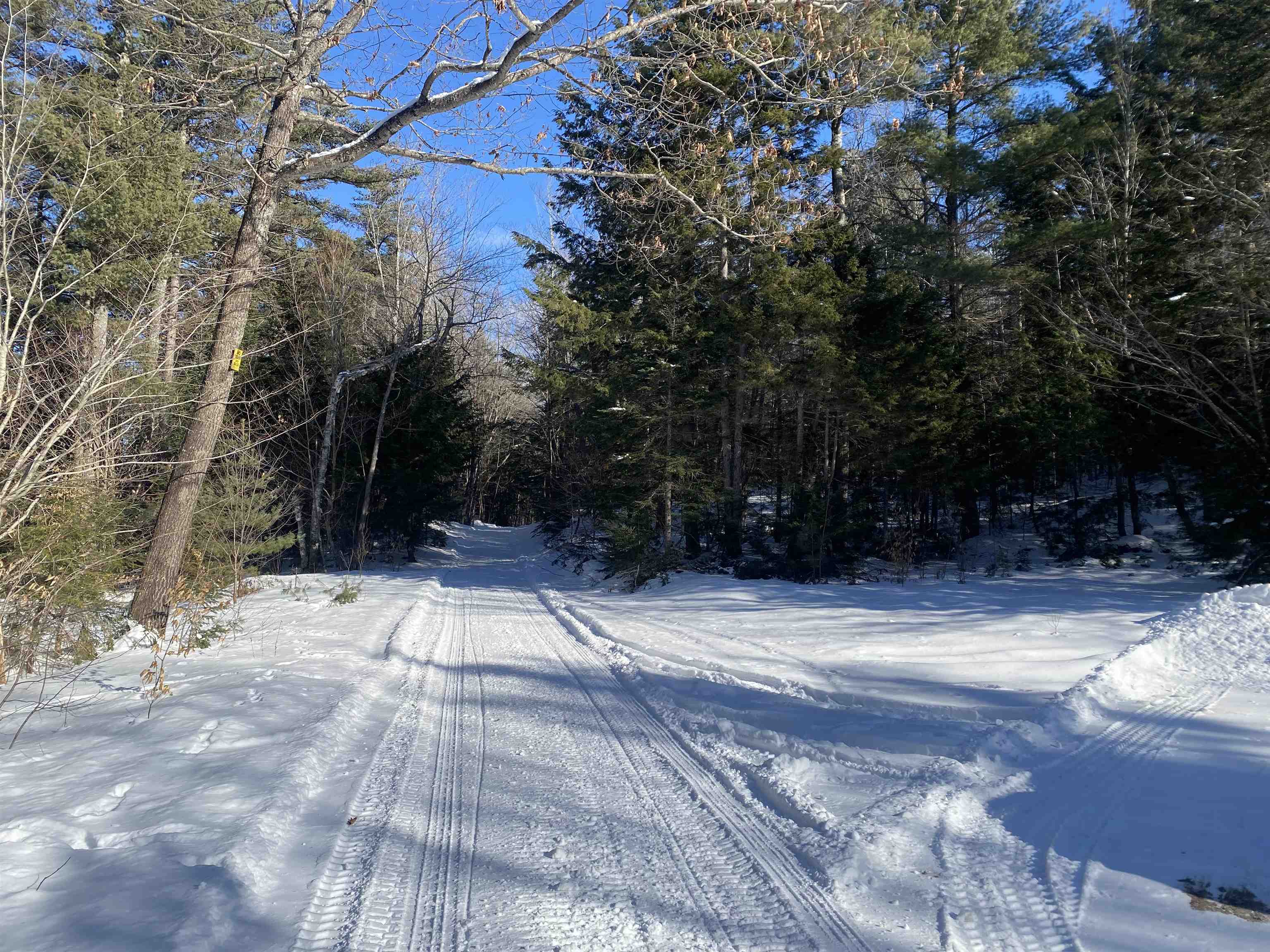 Willis Bean Rd, Eaton, NH 03832