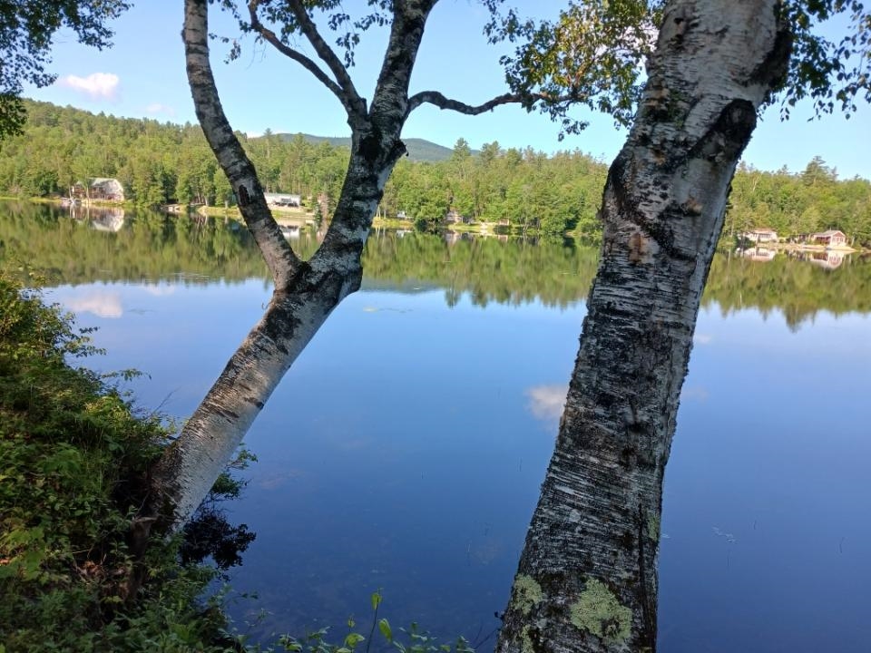 205 Overlook Rd, Milan, NH 03588