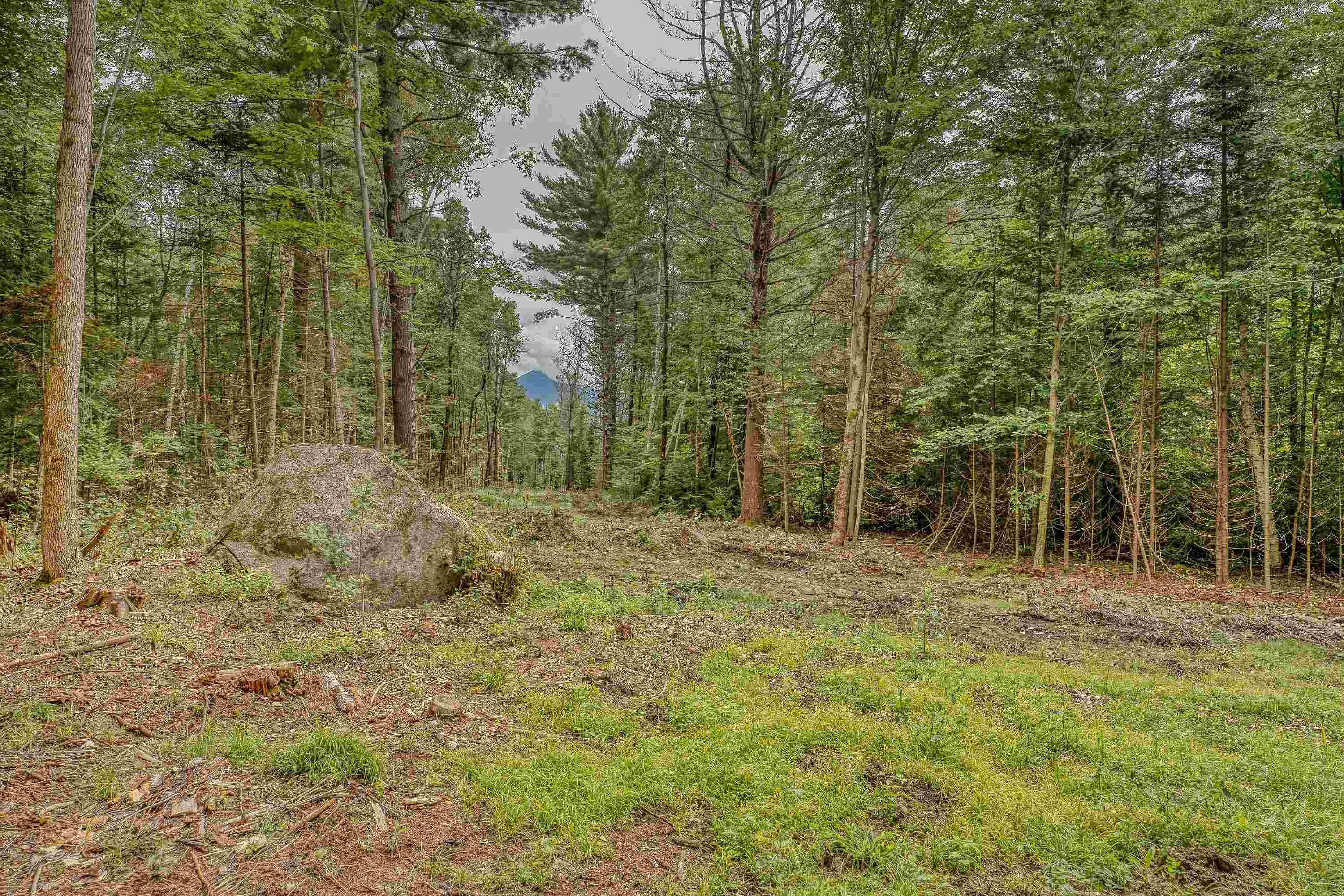 00 Ridge Rd, Bethlehem, NH 03574