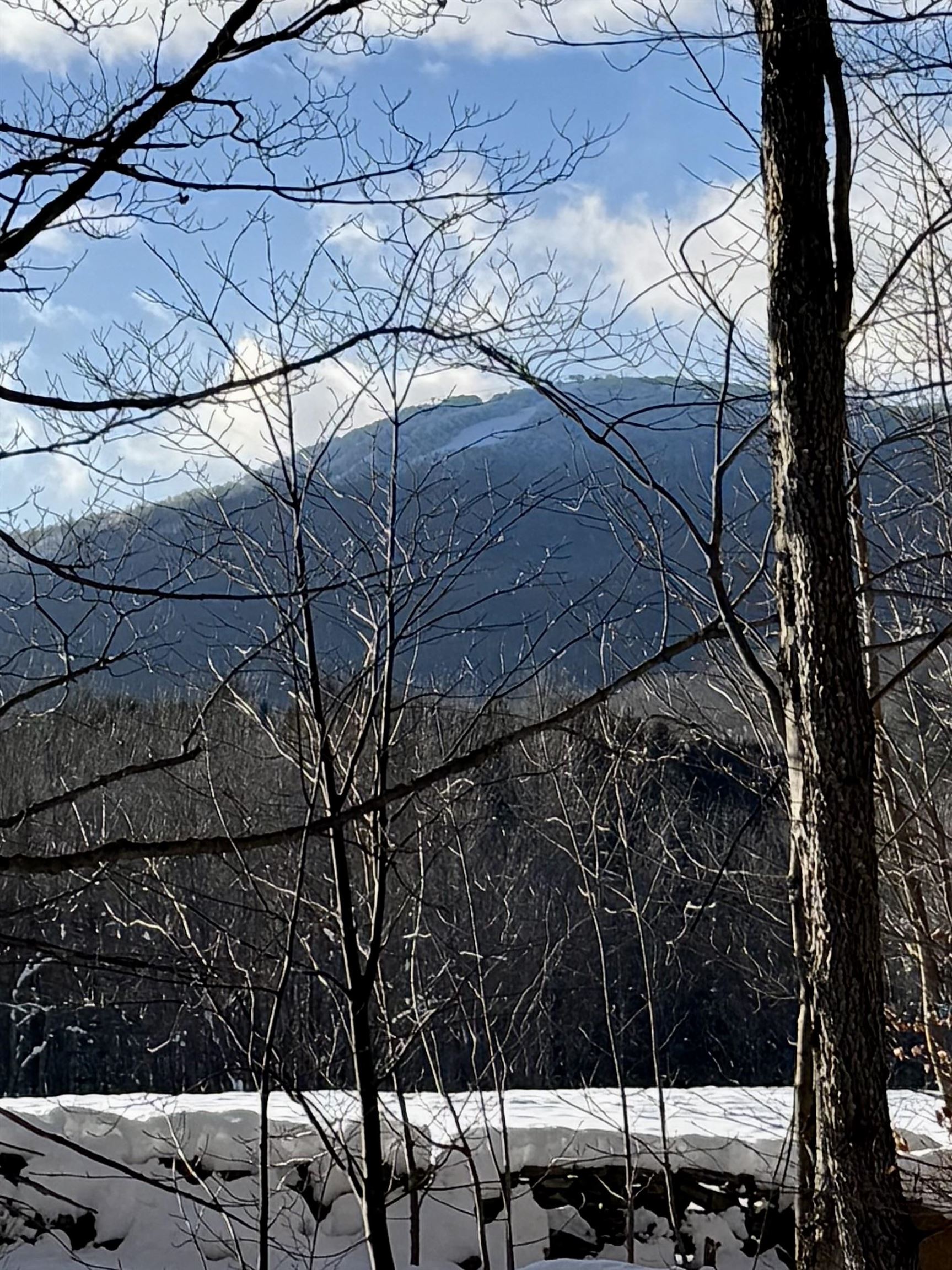 Homes for sale in Peru, VT | 000 Route 11, Peru, VT 05152 | MLS# 5012880