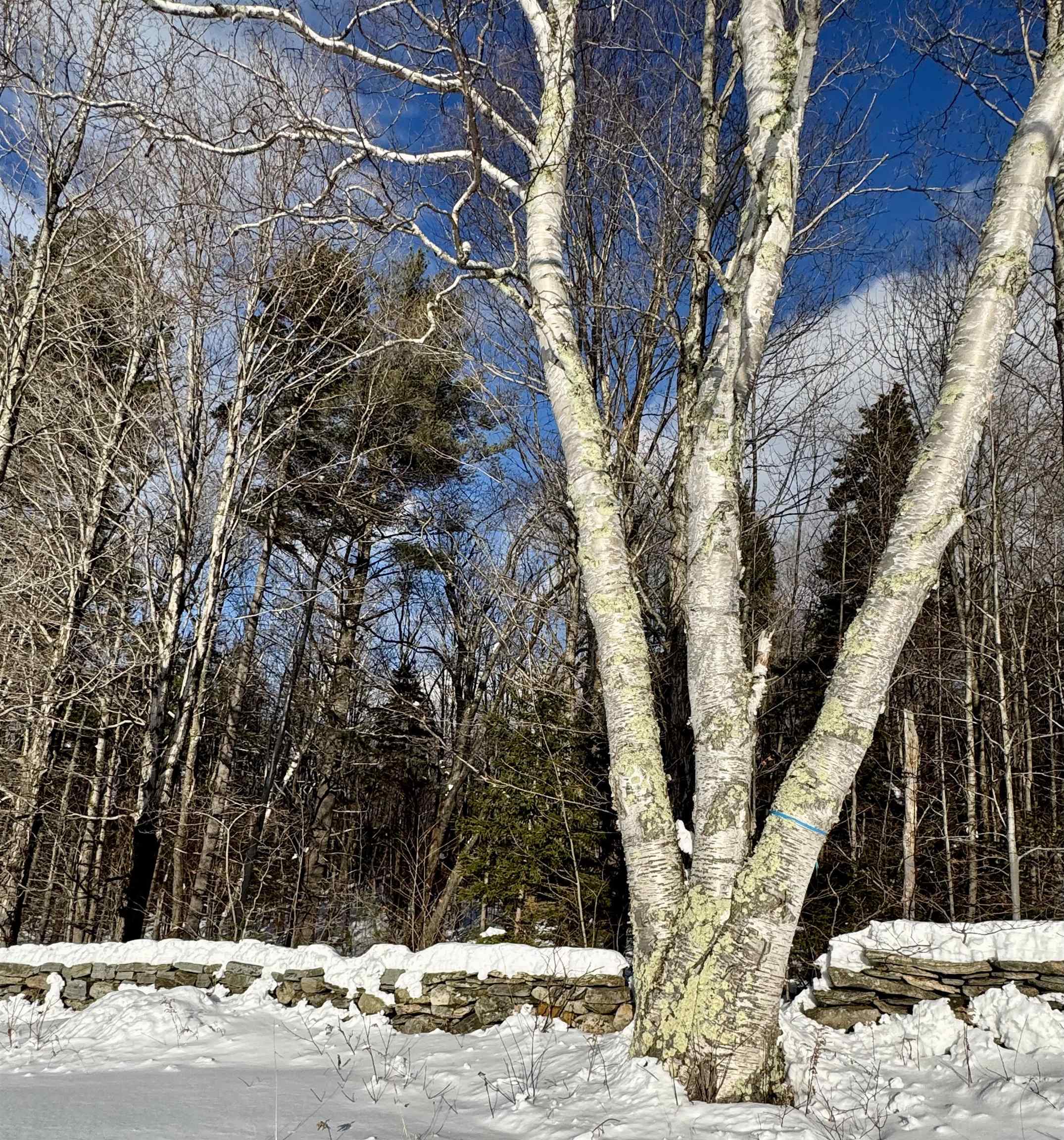 Homes for sale in Peru, VT | 000 Route 11, Peru, VT 05152 | MLS# 5012880