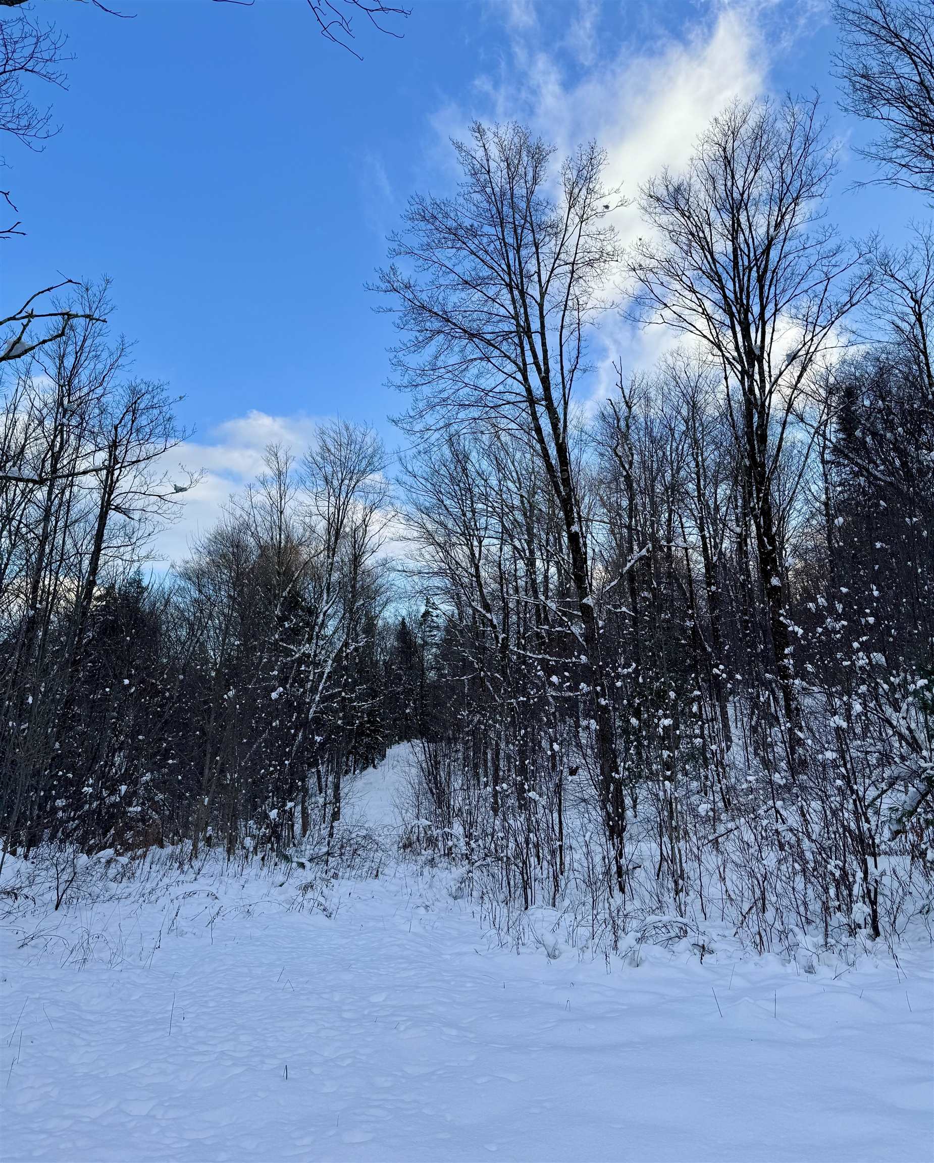 Homes for sale in Peru, VT | 000 Route 11, Peru, VT 05152 | MLS# 5012880