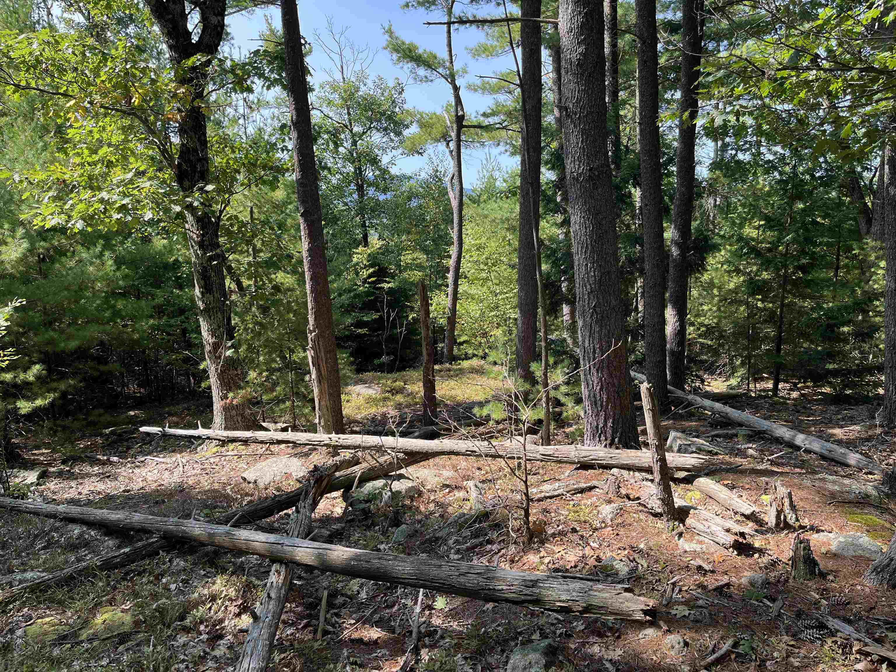 0 Old Stoddard Rd, Hancock, NH 03449