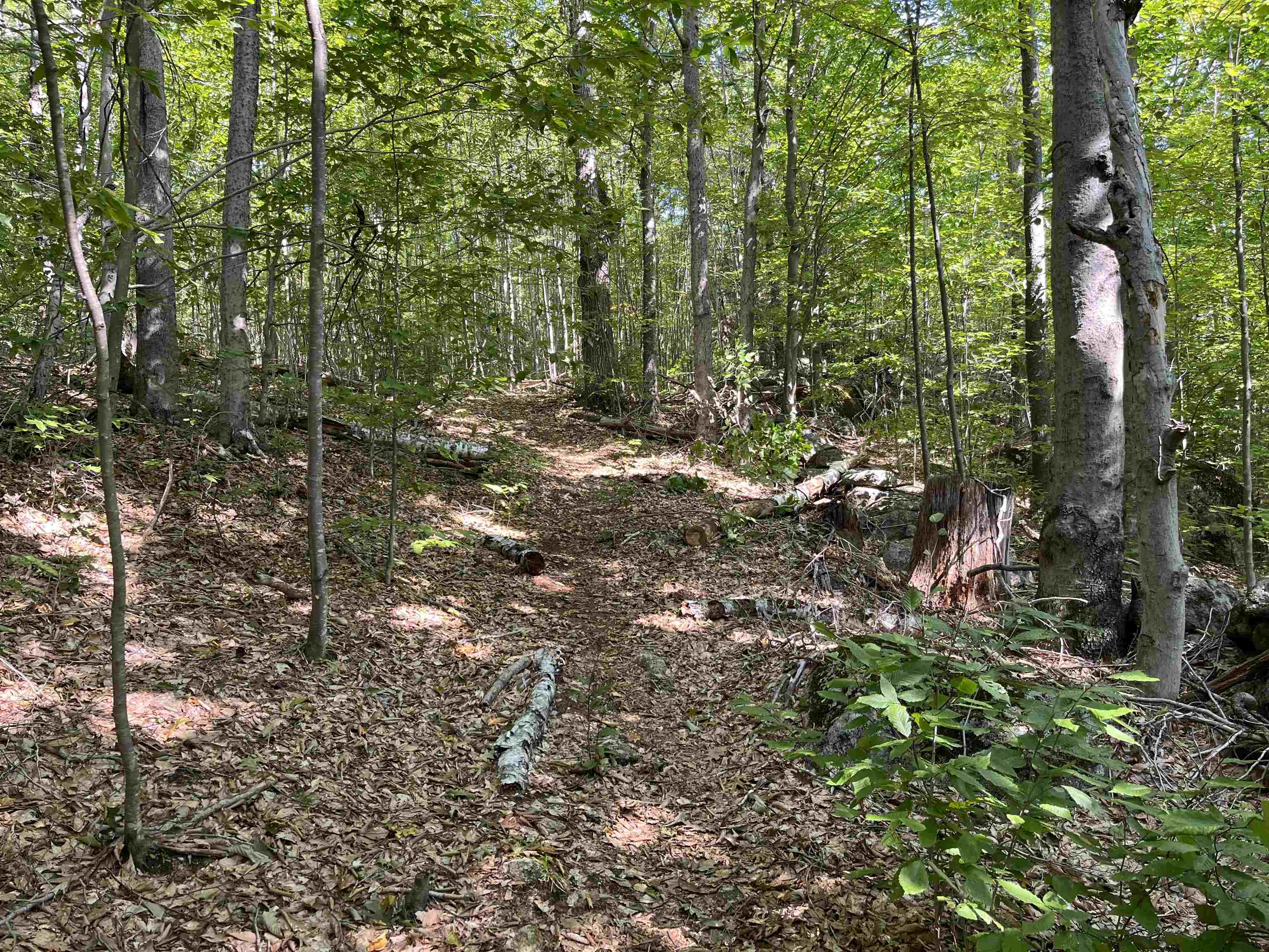 0 Old Stoddard Rd, Hancock, NH 03449