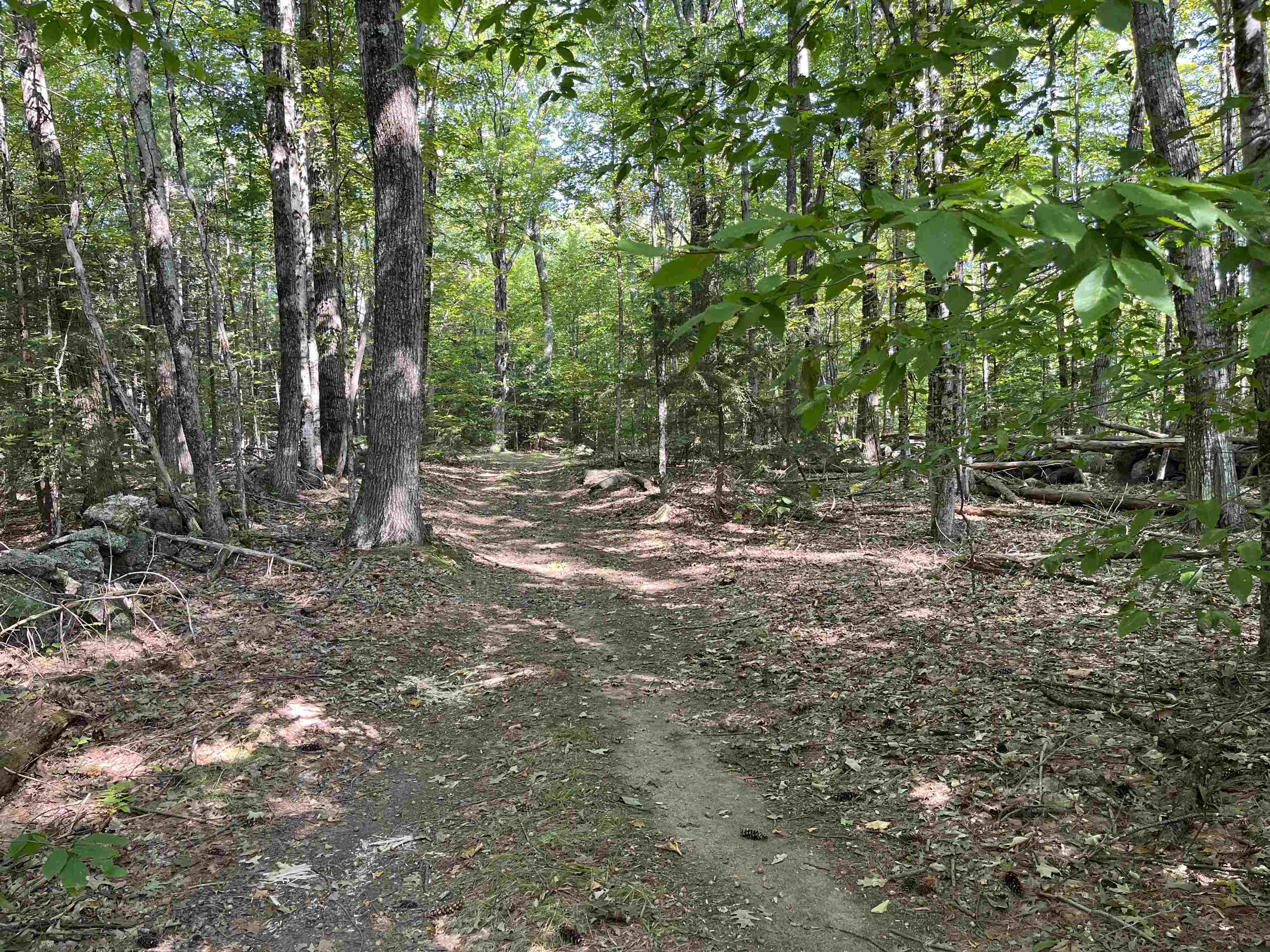 Old Stoddard Rd, Hancock, NH 03449