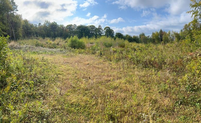 34-35-36 Commerce Ct, Meredith, NH 03253