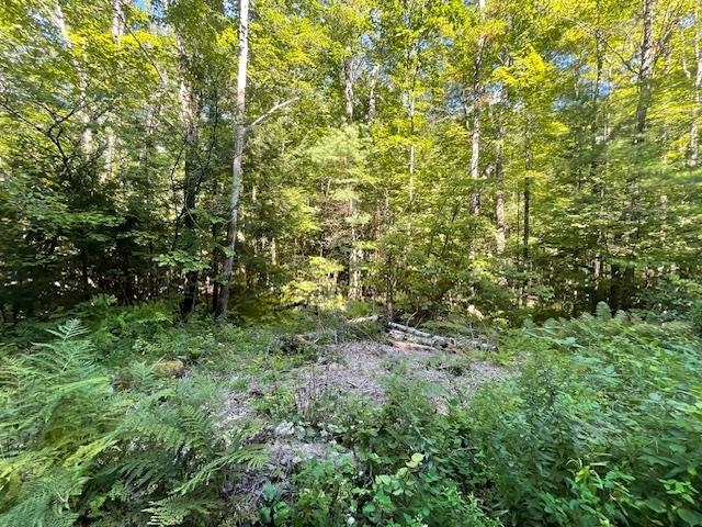 00 Whitney Rd, Henniker, NH 03242