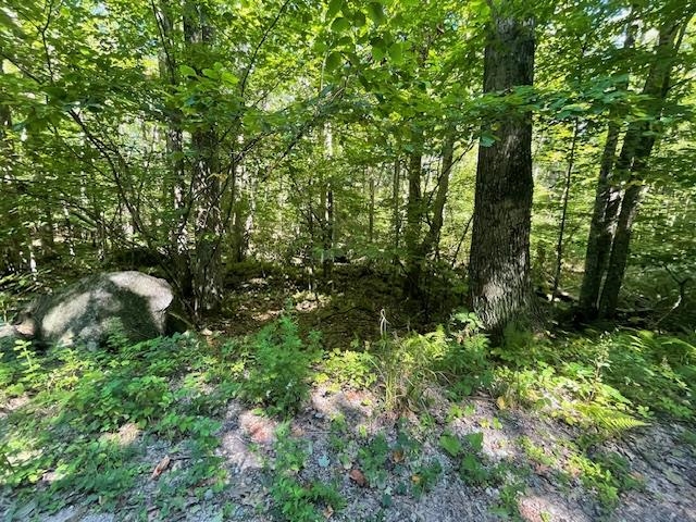 00 Whitney Rd, Henniker, NH 03242