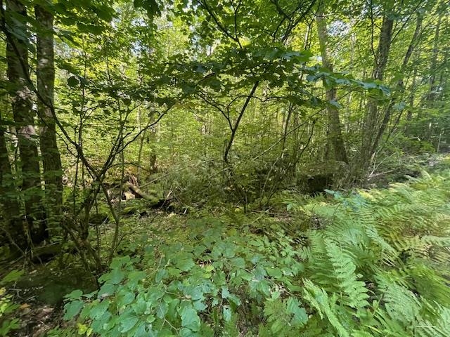 00 Whitney Rd, Henniker, NH 03242