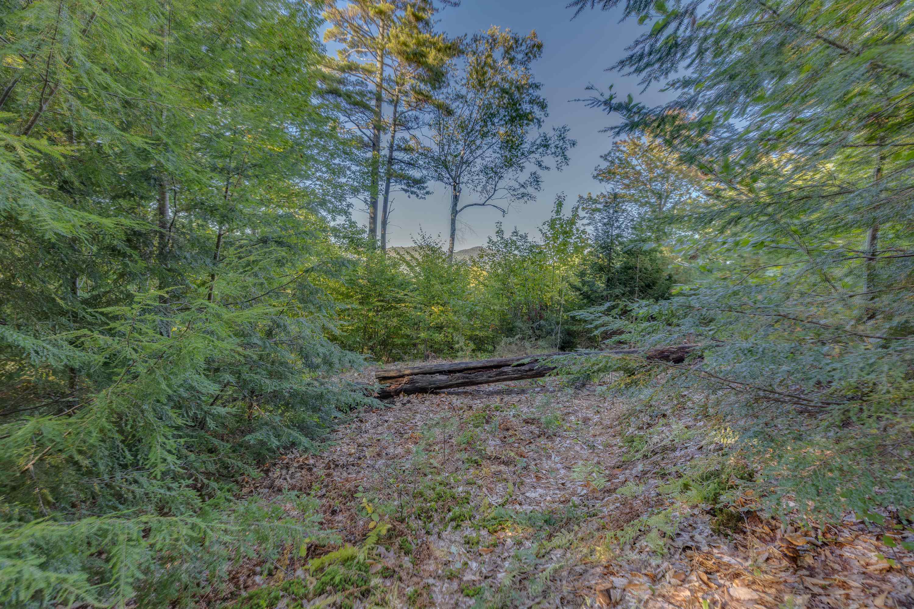 00 Perkins Ln, Holderness, NH 03245